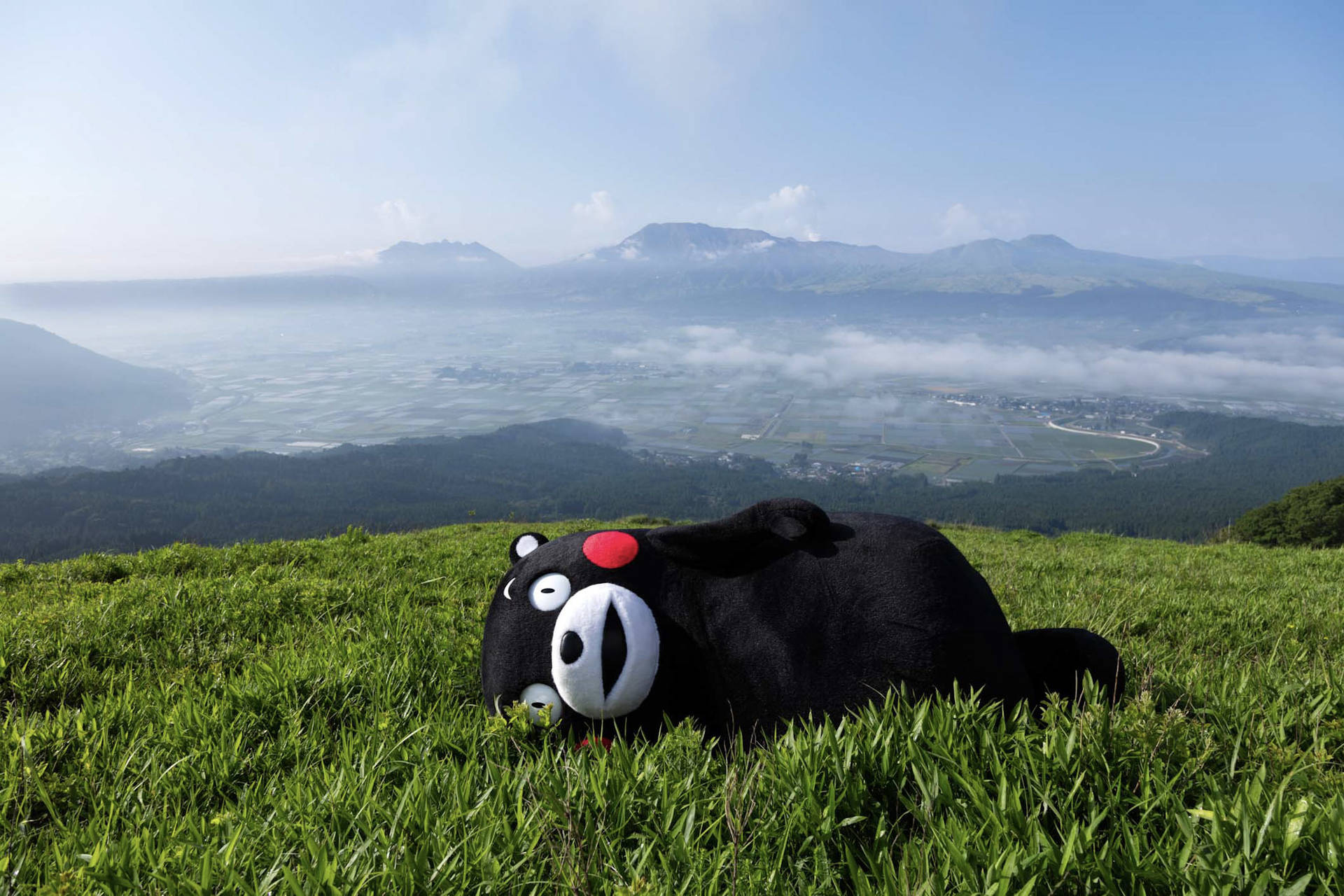 Kumamon 桌布