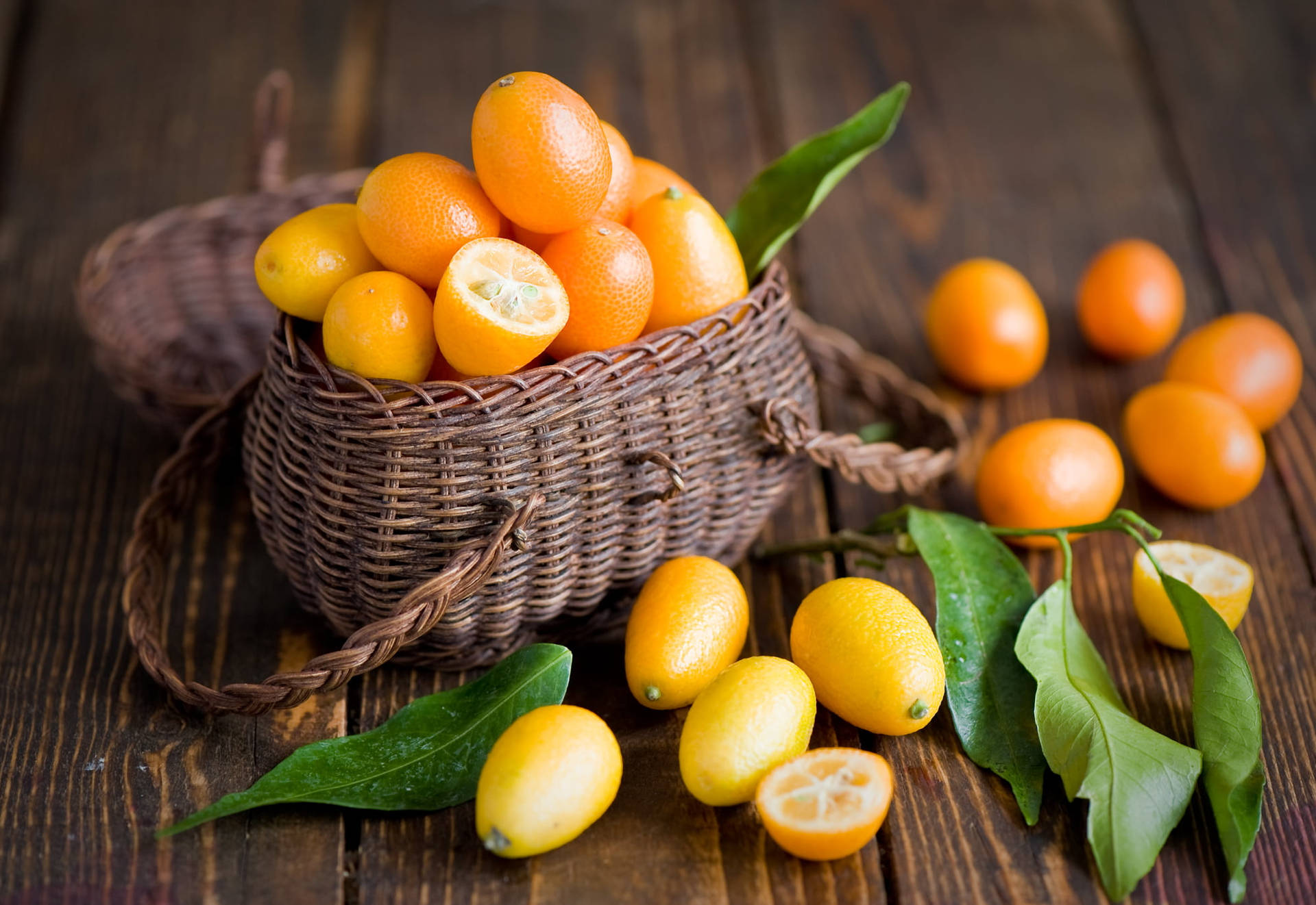 Kumquat 桌布