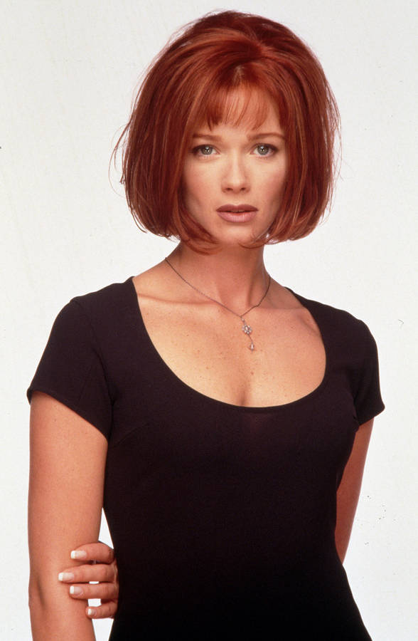 Lauren Holly 桌布