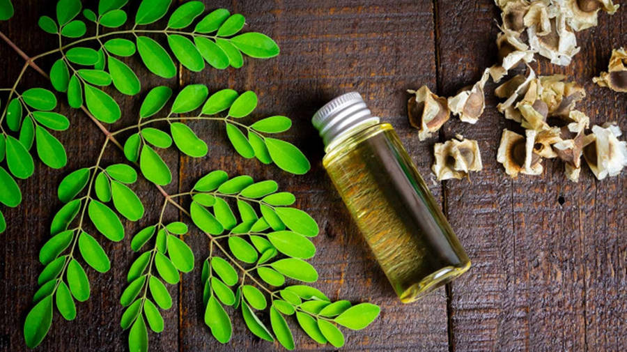 Leaves 桌布