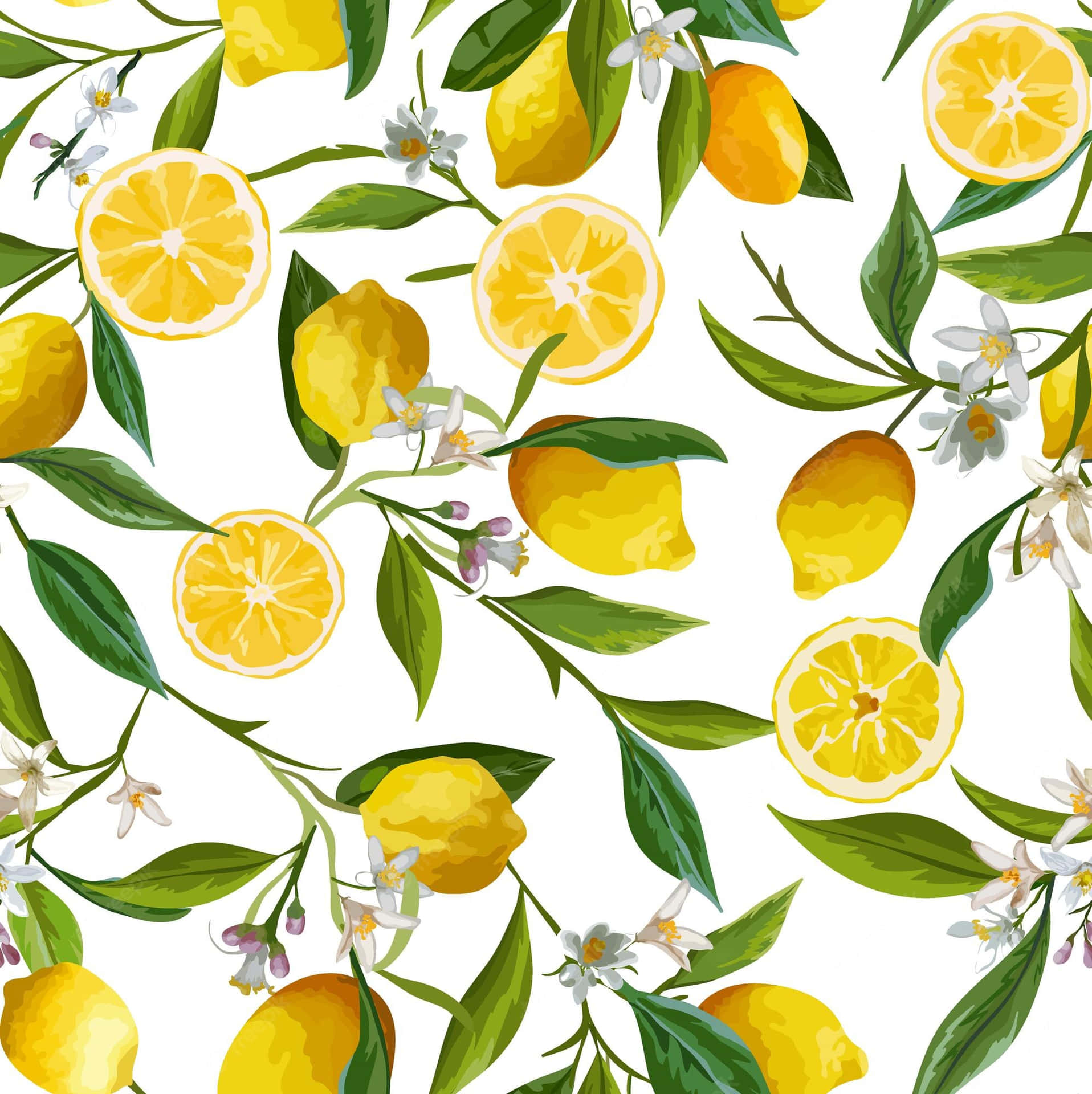 Lemon iPhone 桌布