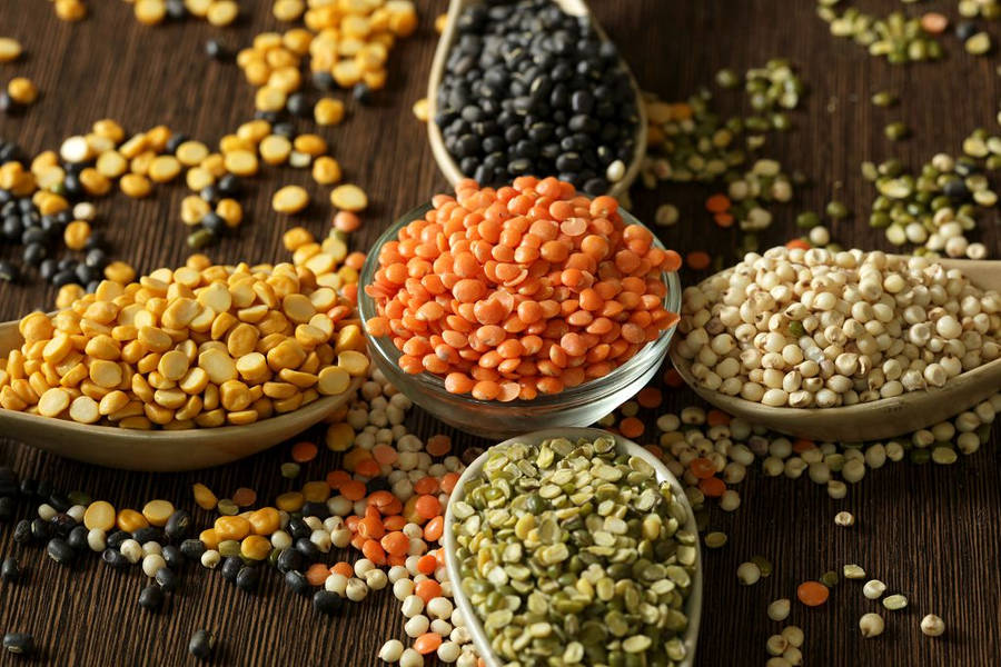 Lentils 桌布