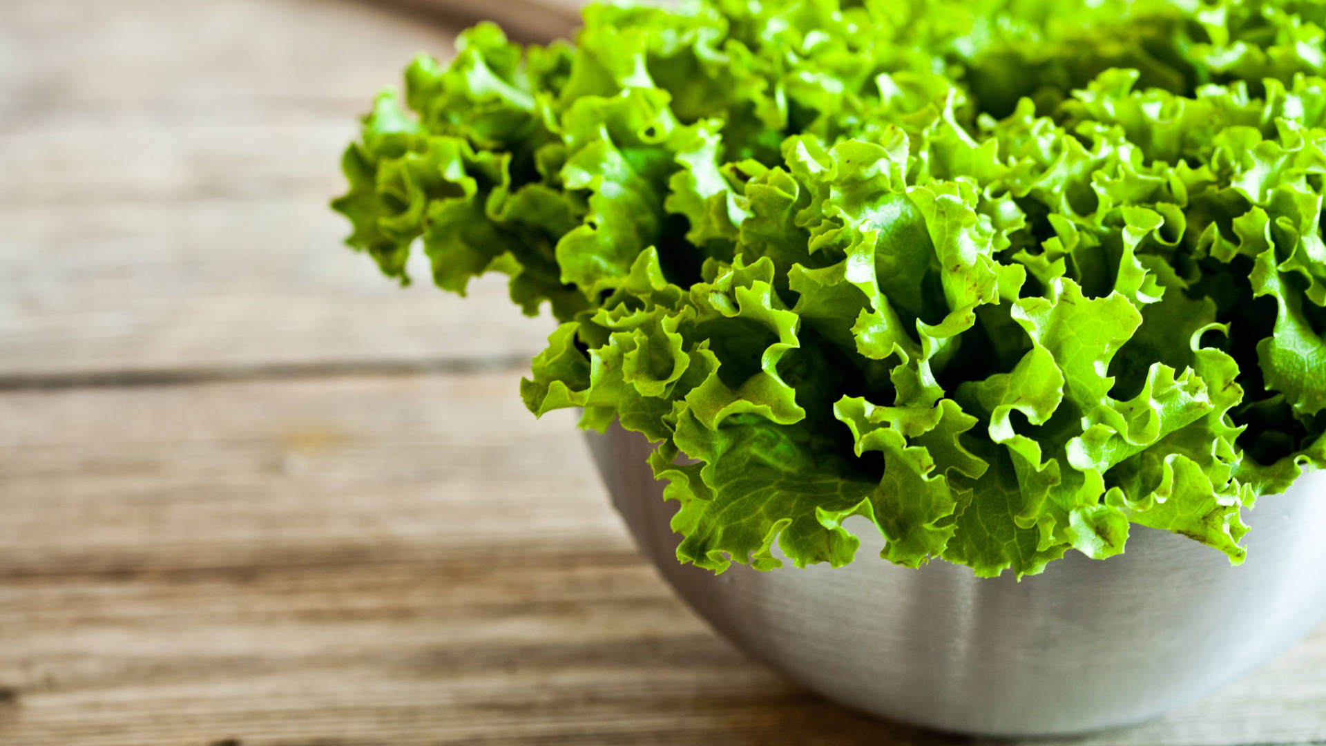 Lettuce 桌布