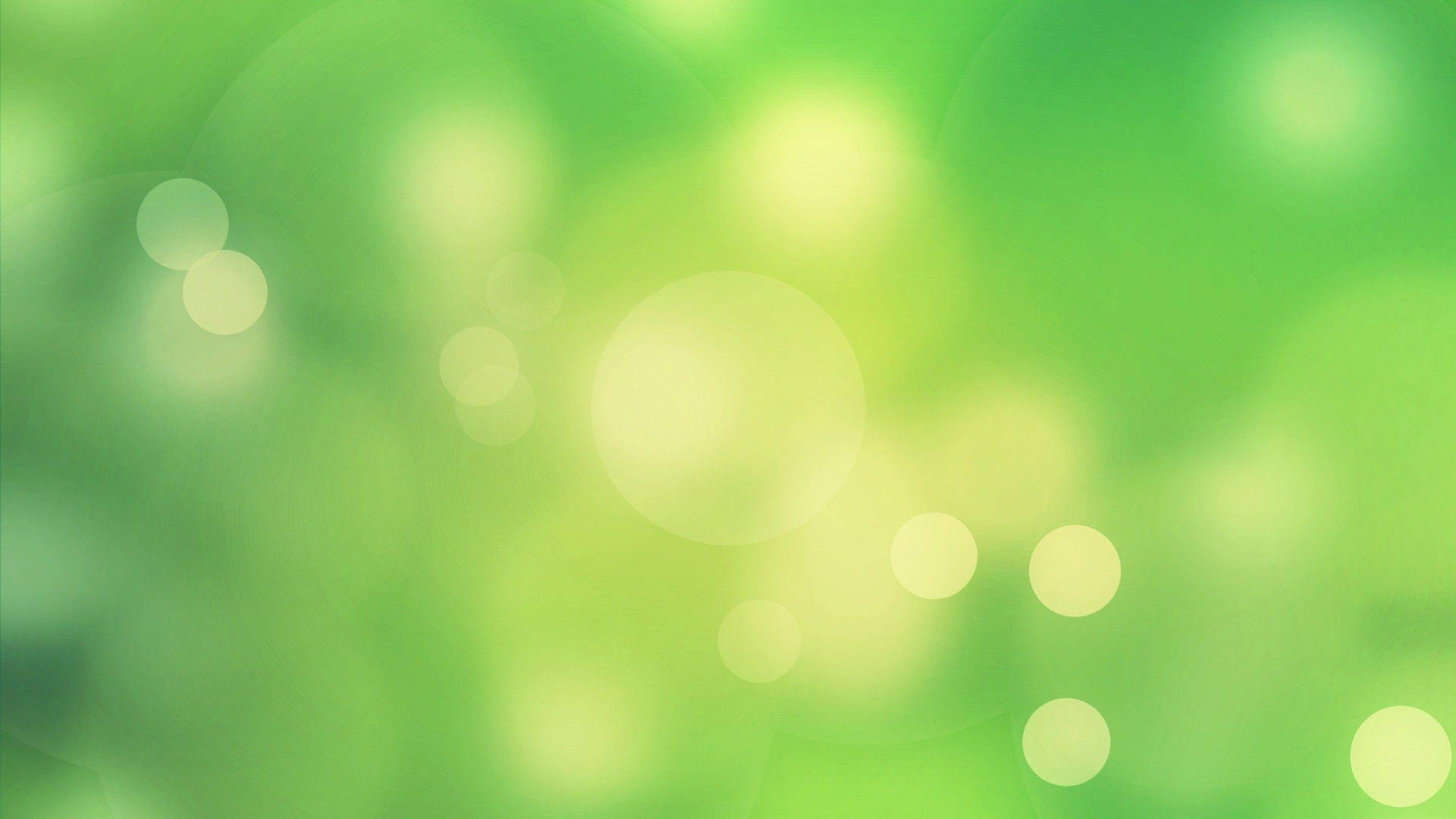 Light Green 桌布