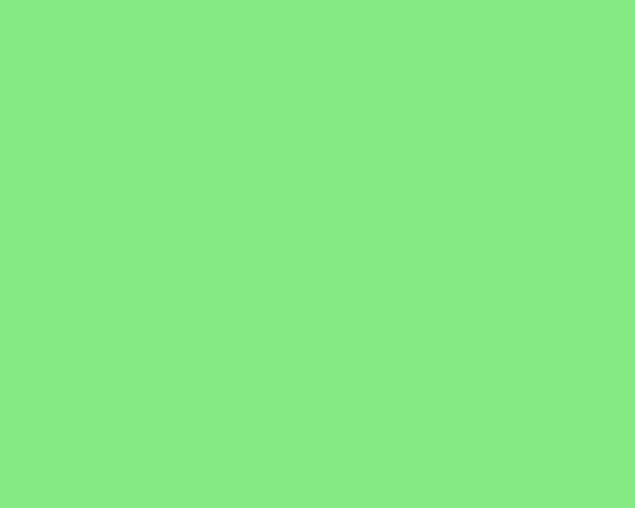 Light Green Plain 桌布