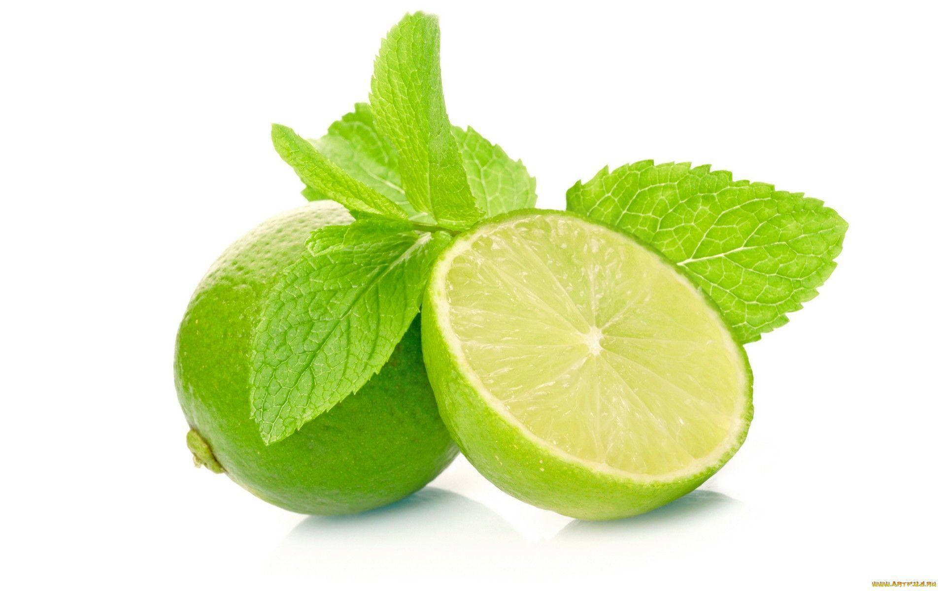 Lime 桌布