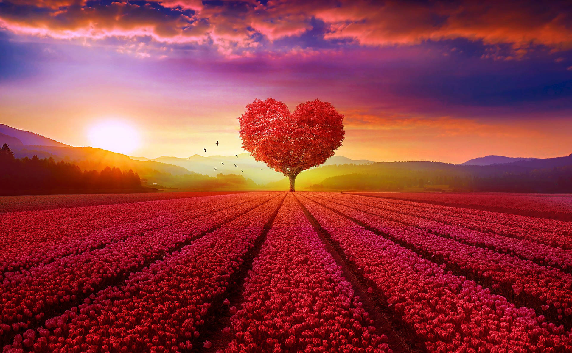Love Nature 桌布