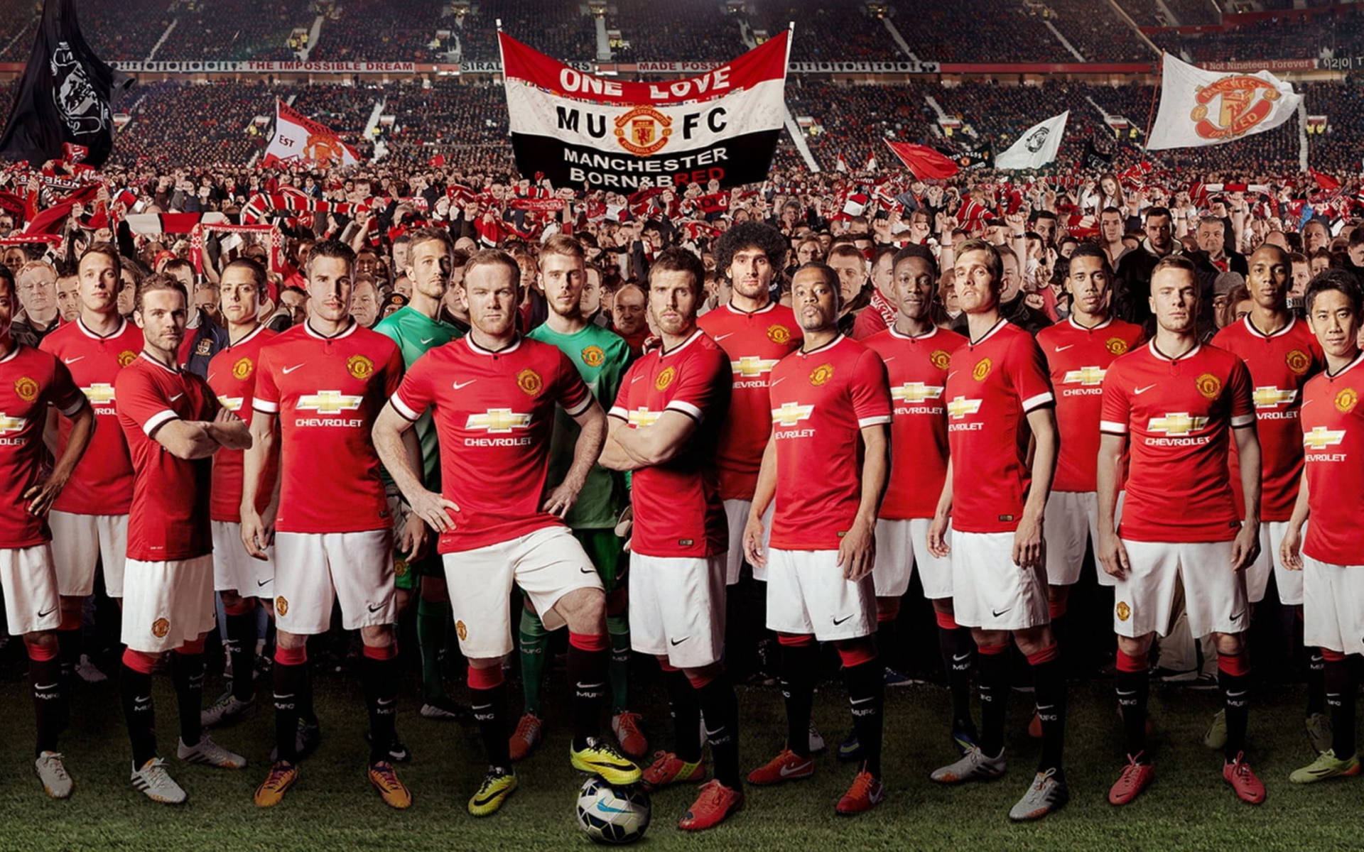 Manchester United Players 桌布