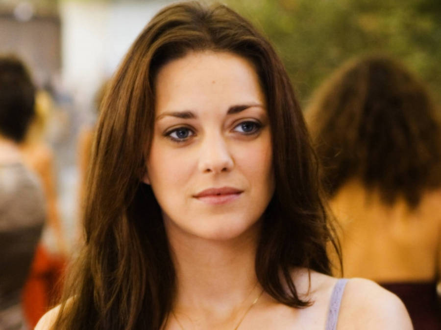 Marion Cotillard 桌布