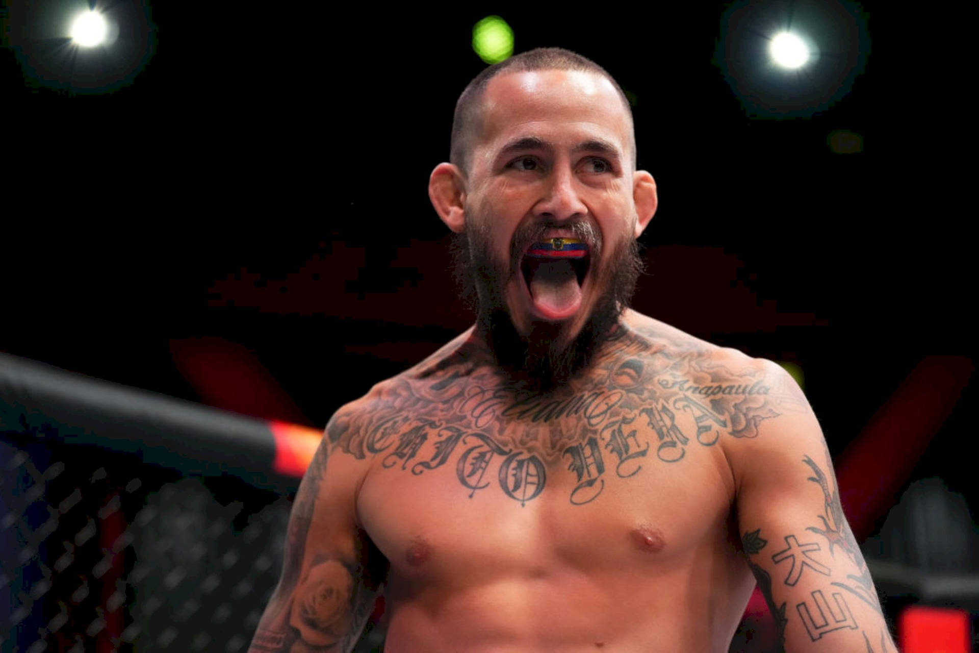 Marlon Vera 桌布