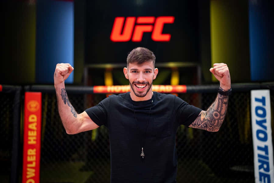 Matheus Nicolau 桌布