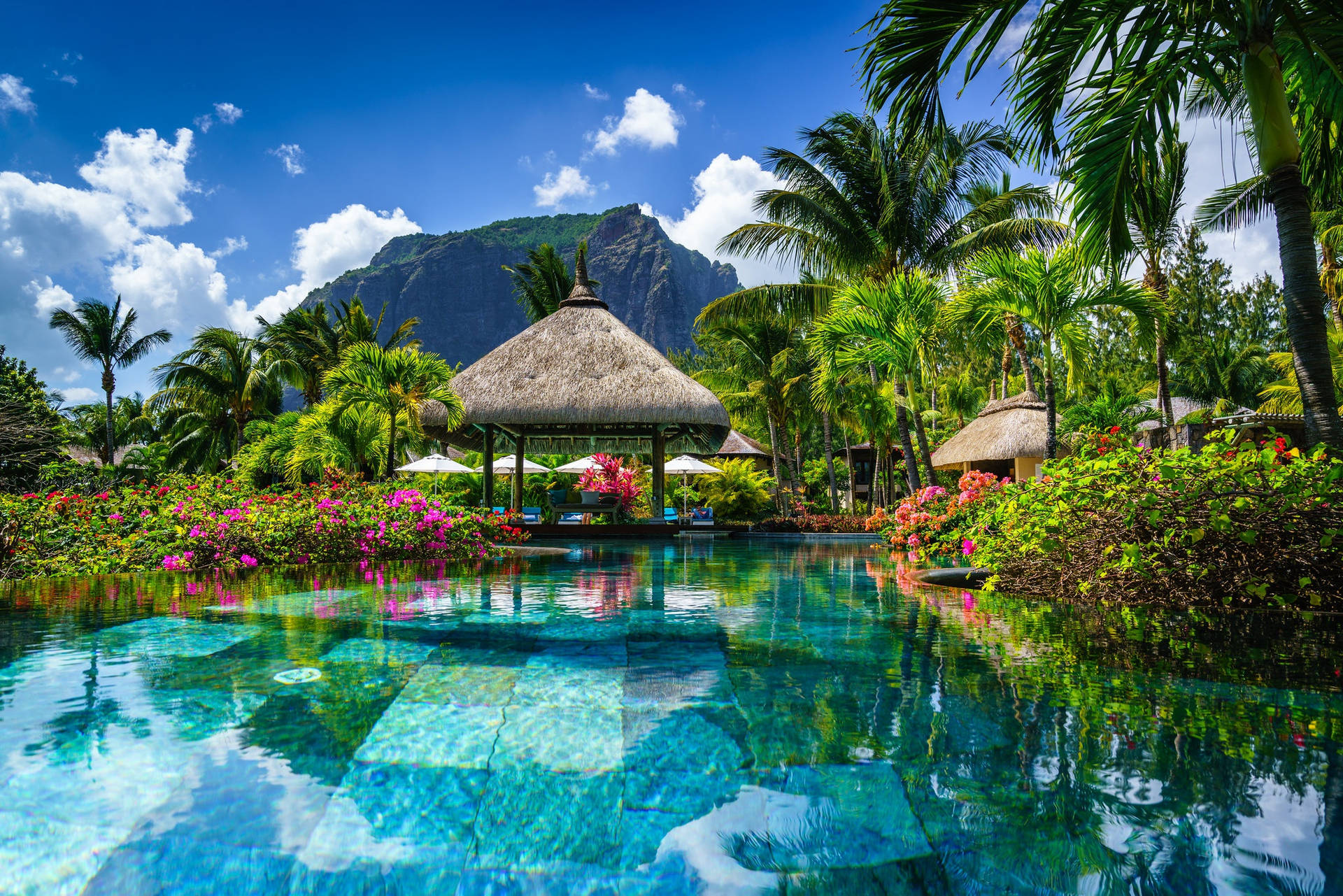 Man Made Resort Pool Tropical HD Wallpaper | Background Image