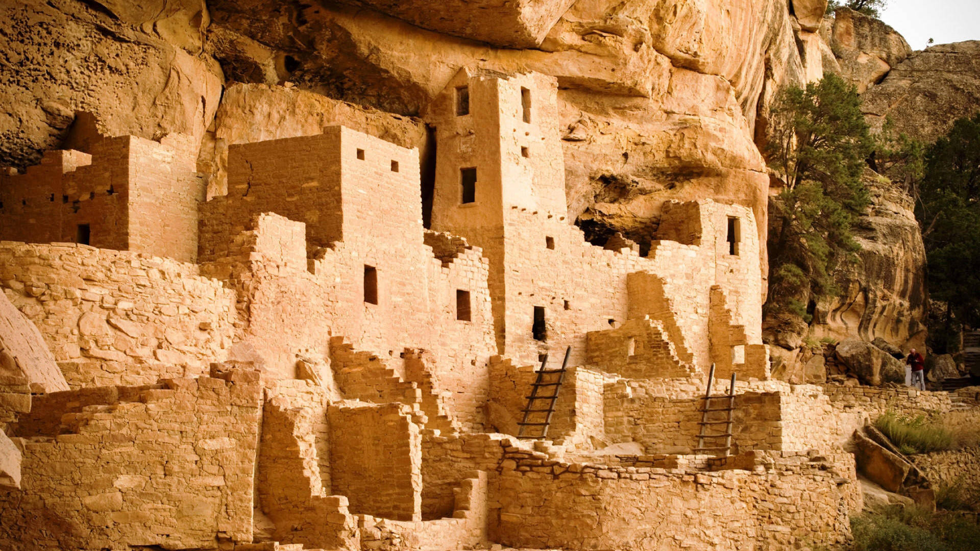 Mesa Verde 桌布