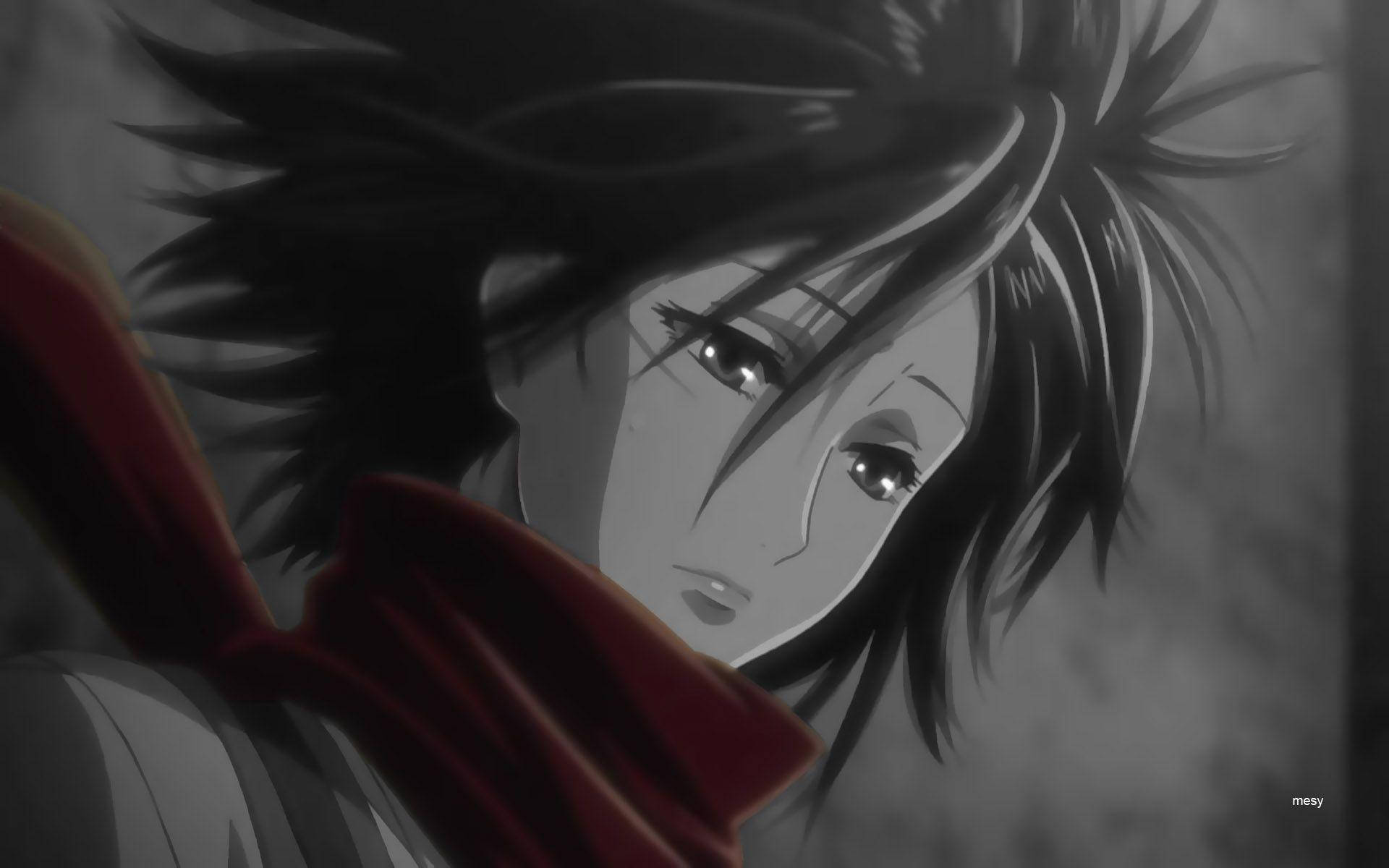 Mikasa Ackerman Wallpapers