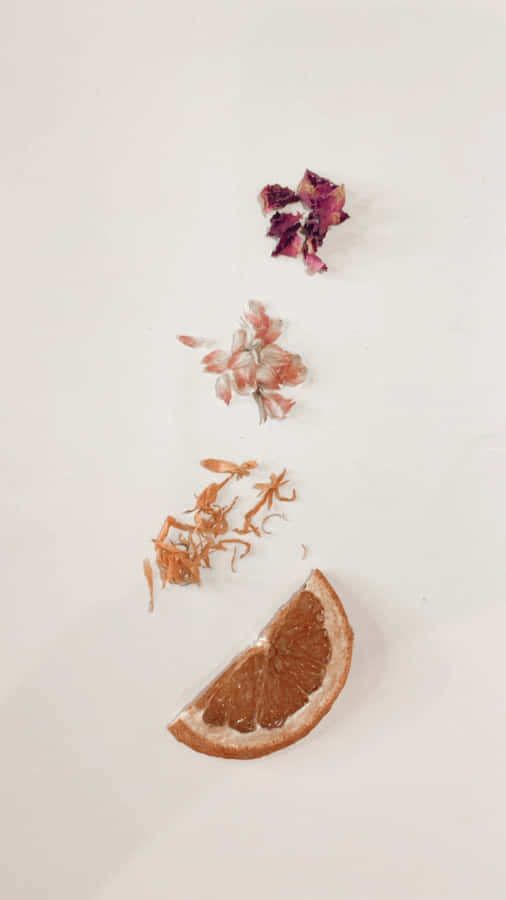 Minimalist Autumn 桌布