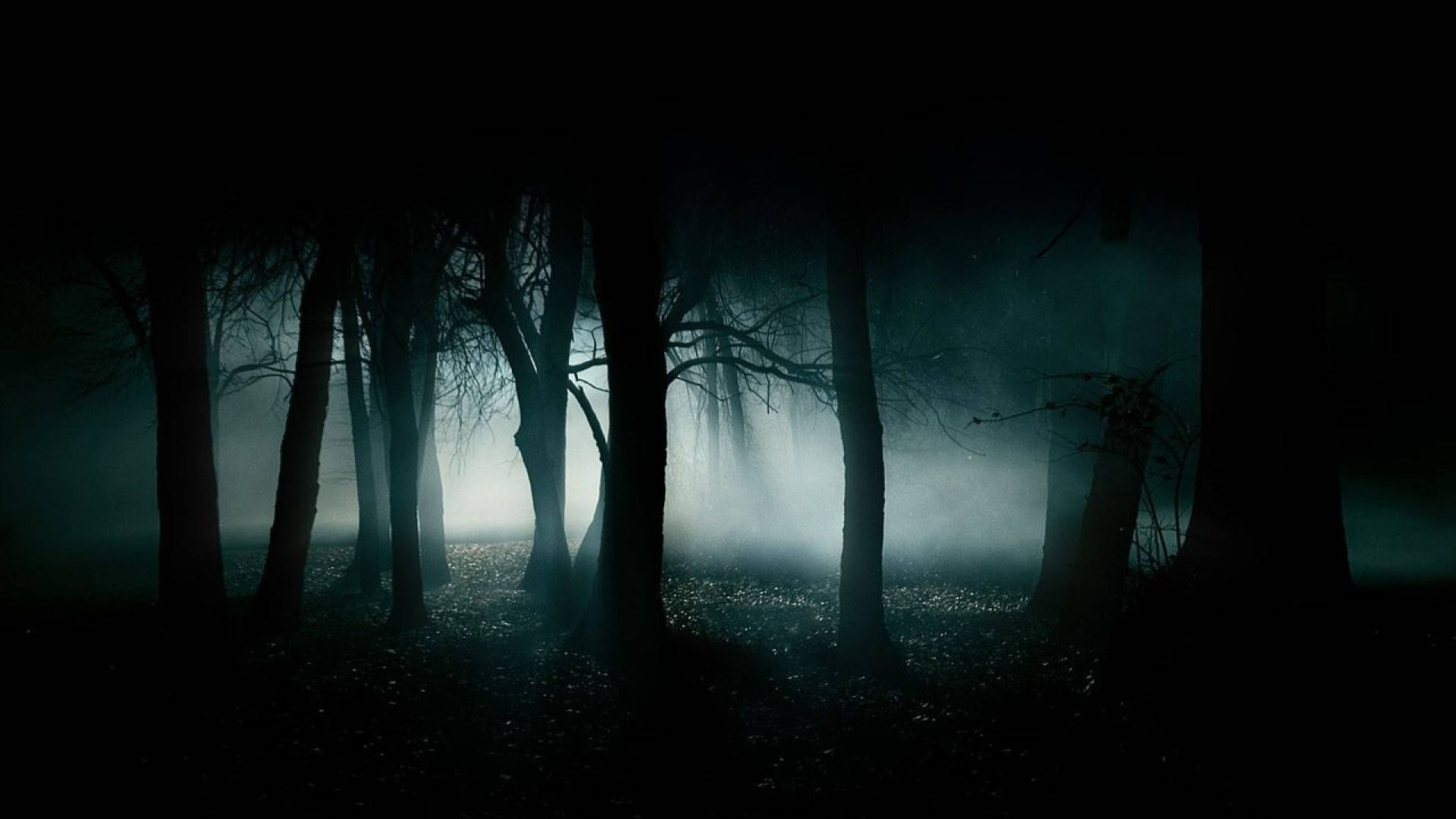 Most Haunting Scary Wallpapers of All TIme 1680Ã1050 Wallpapers Horror  Images (44 Wallpapers