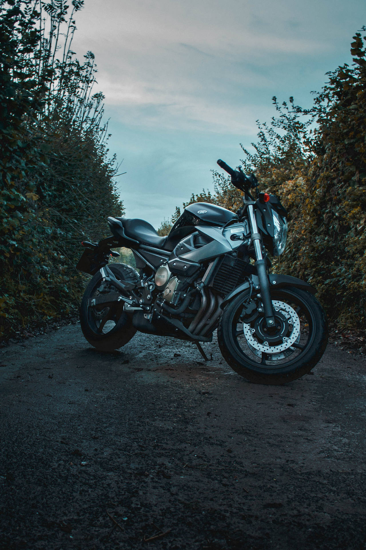 Preview wallpaper motorcycle, bottom view, black