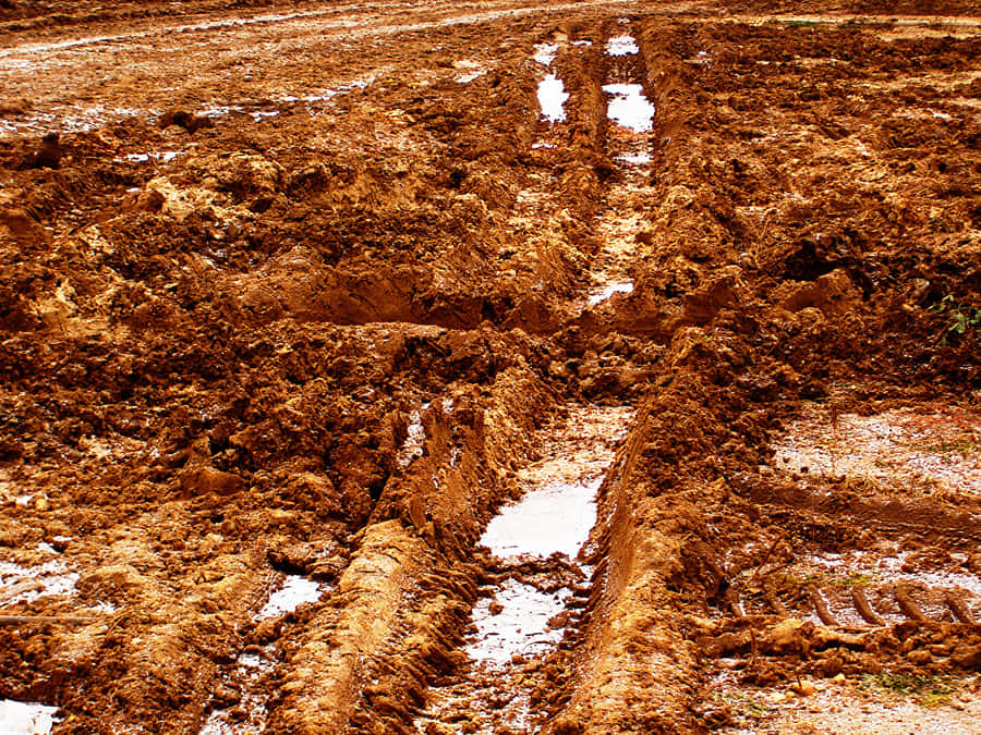 Mud 桌布
