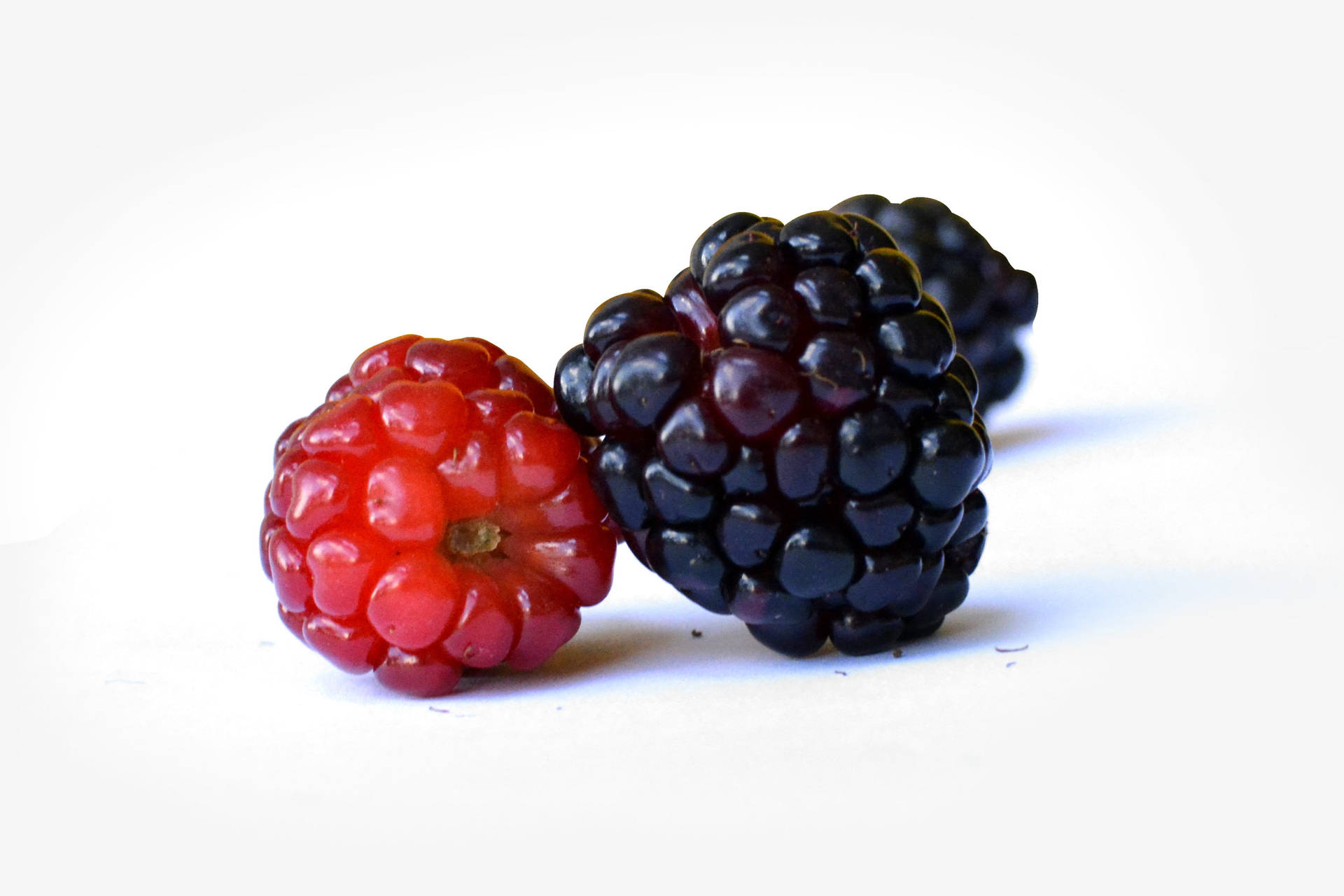 Mulberry 桌布
