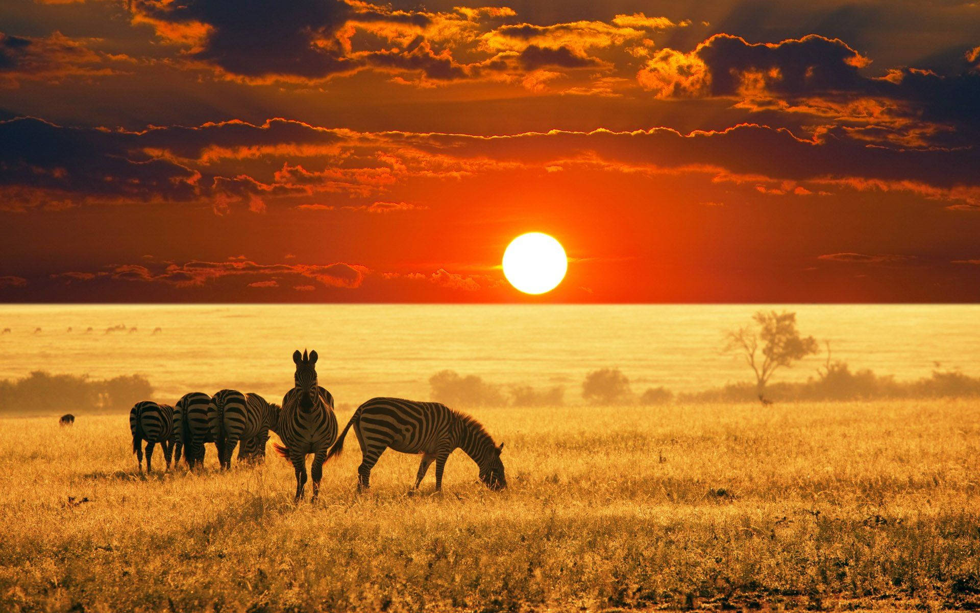 1920x1200 Namibia Africa Desert Sunrise 4K wallpaper