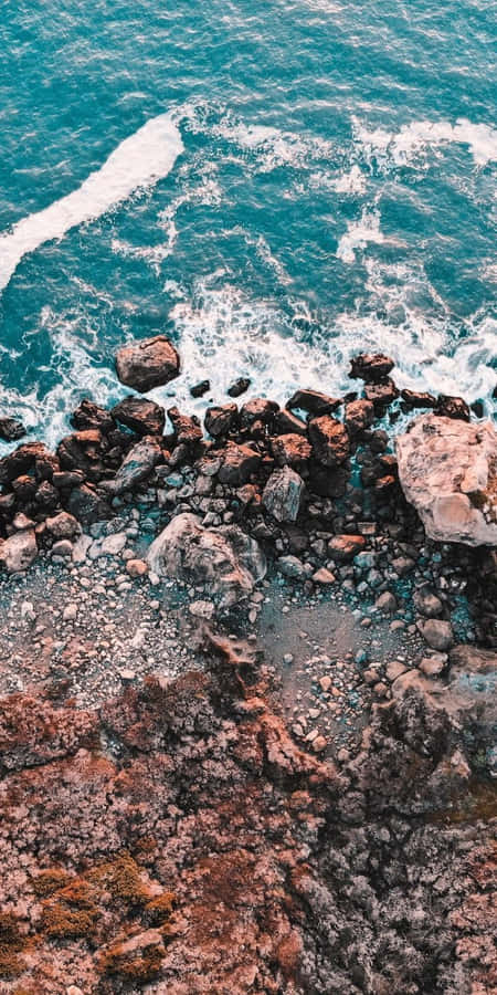 Nature Aesthetic Phone 桌布