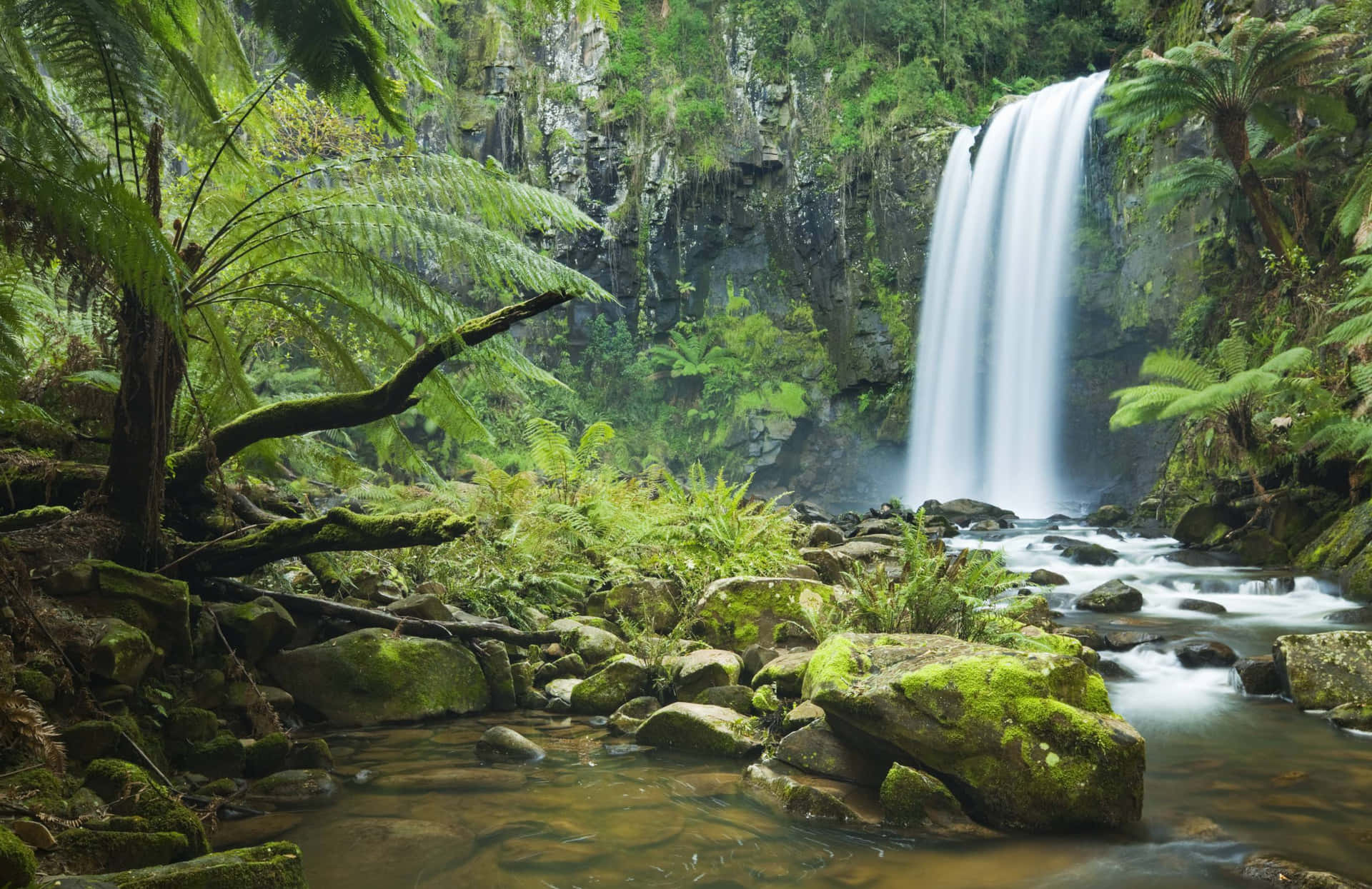Nature Scenes 桌布