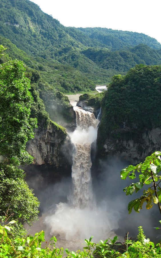 Nature Vertical 桌布