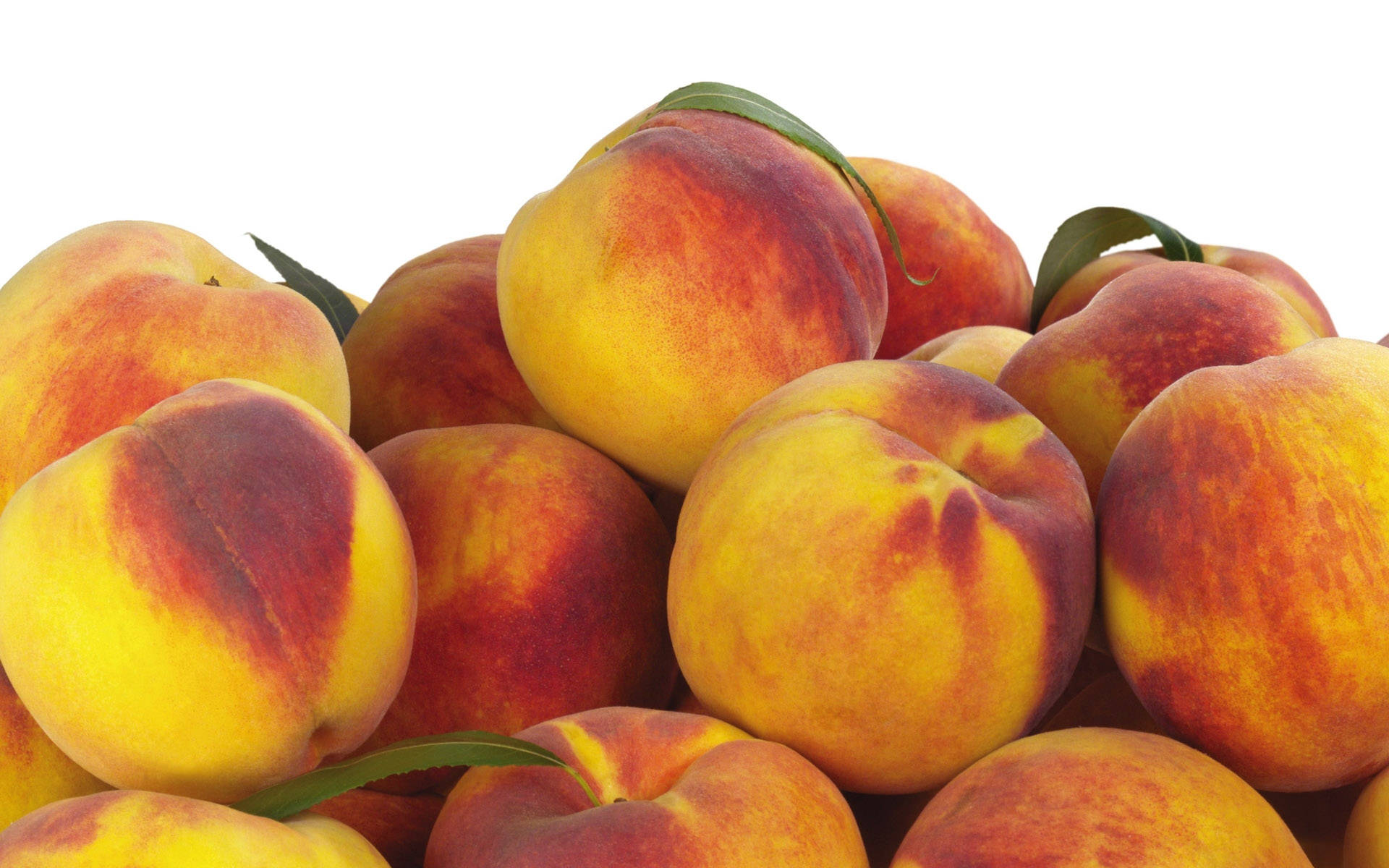 Nectarine 桌布
