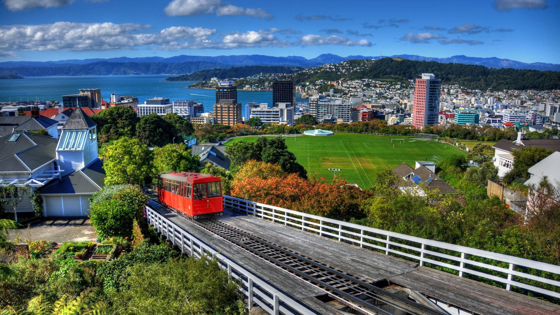 New zealand 桌布