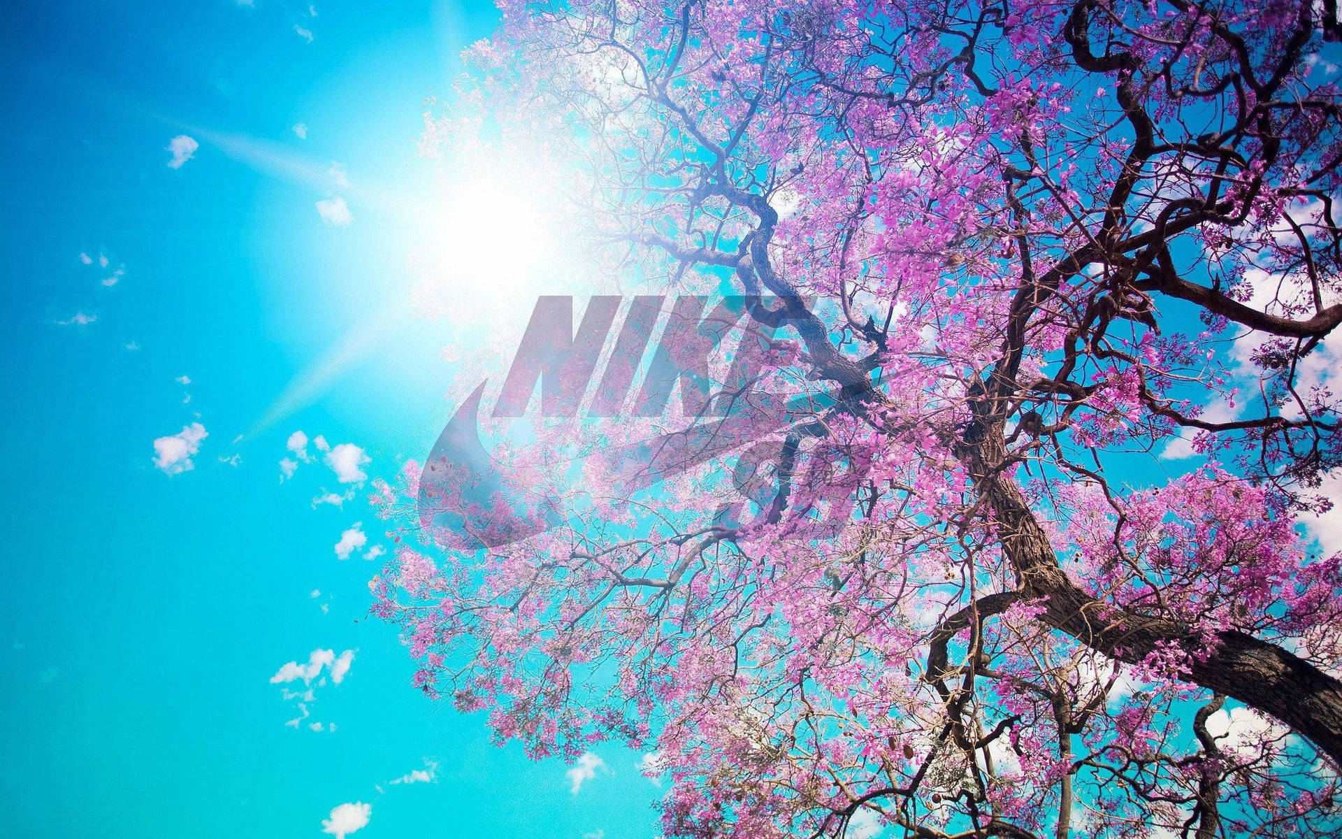 Nike girl 桌布