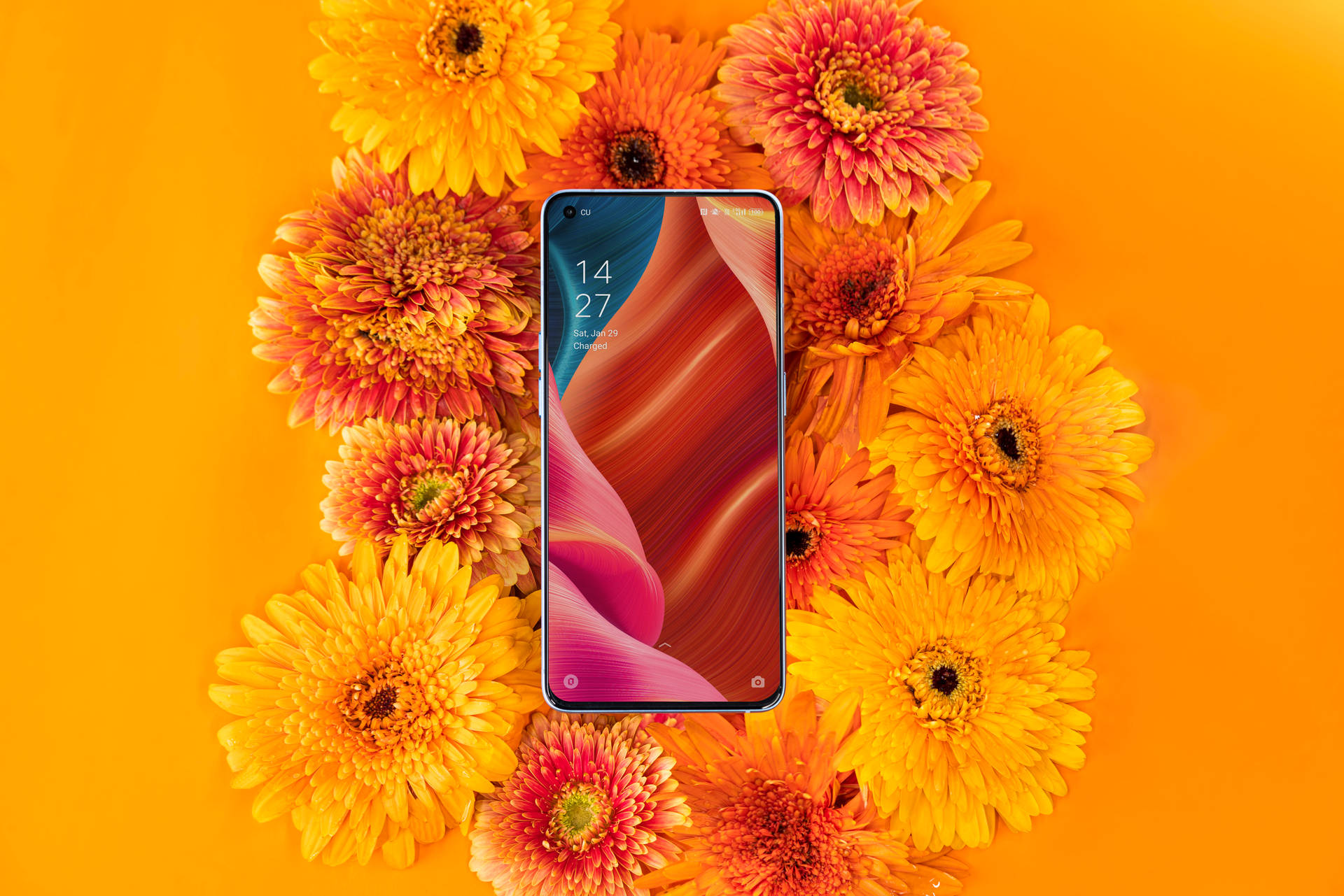 Oppo 桌布