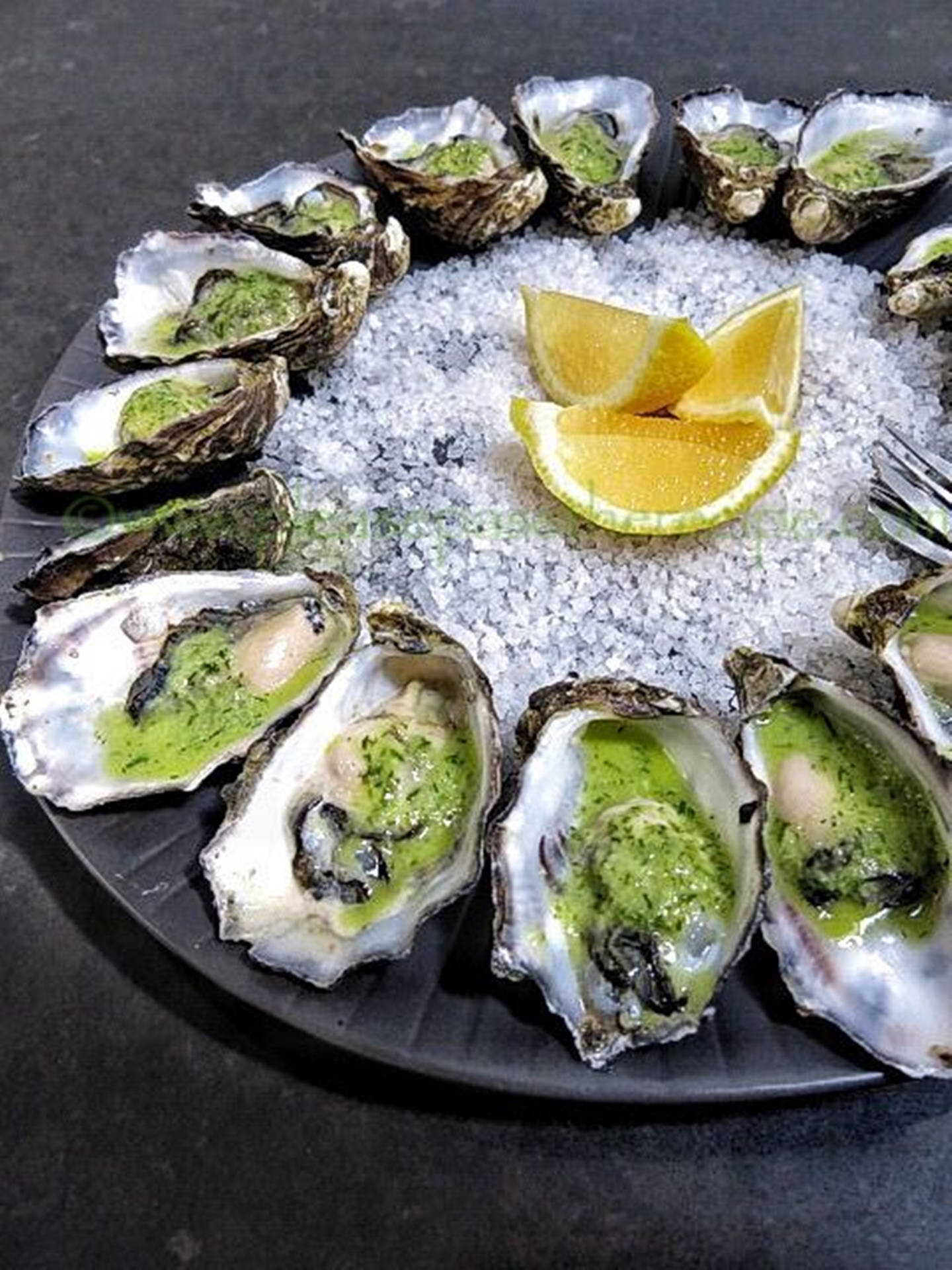 Oyster 桌布