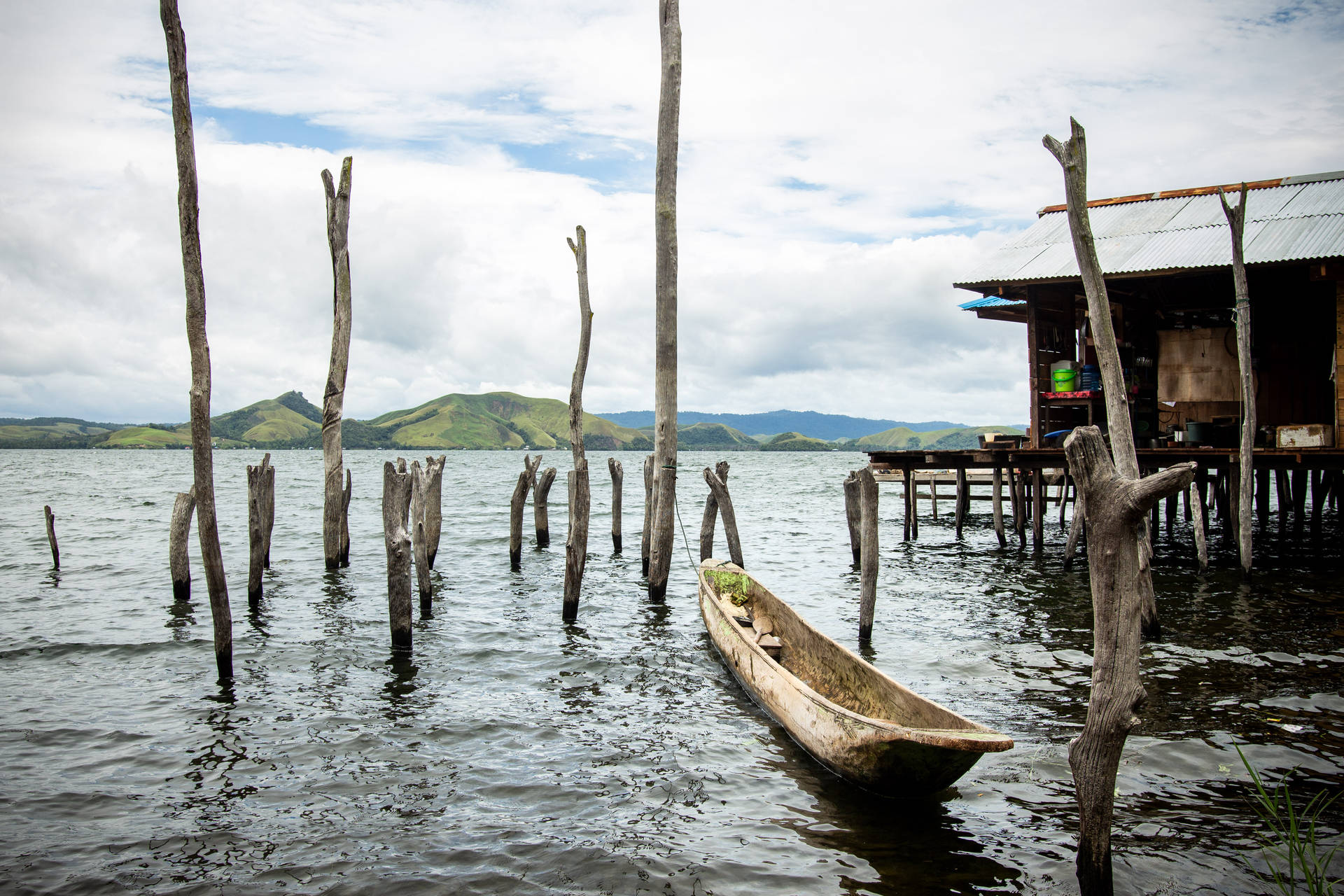 Papua 桌布