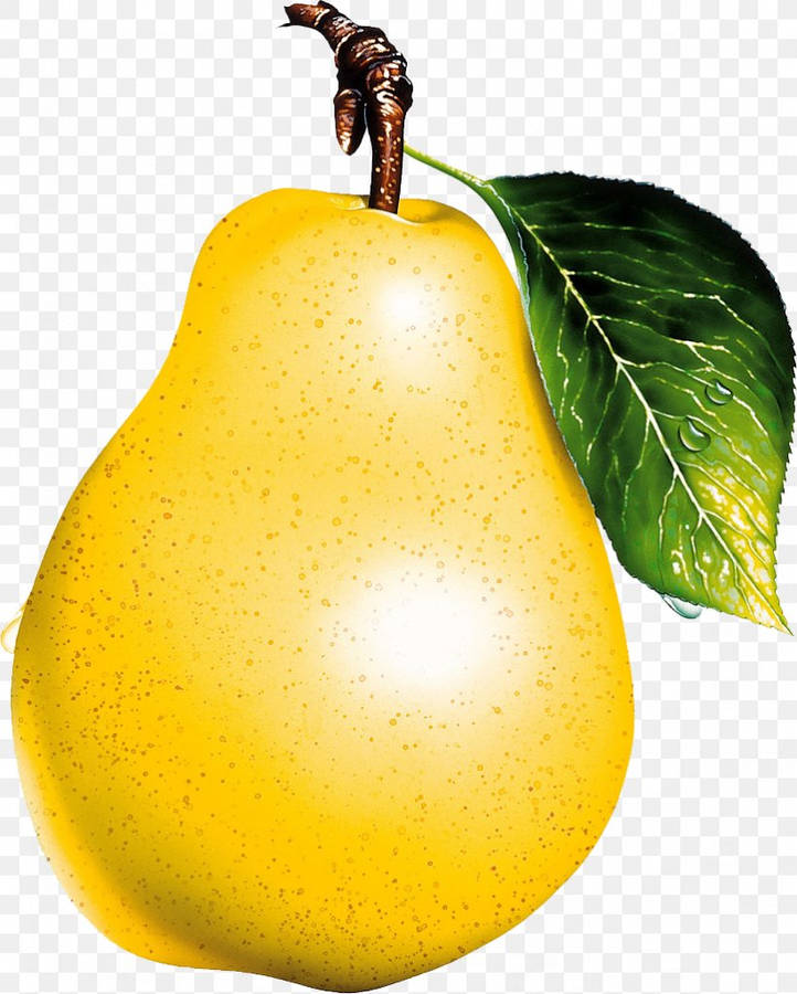 Pear 桌布