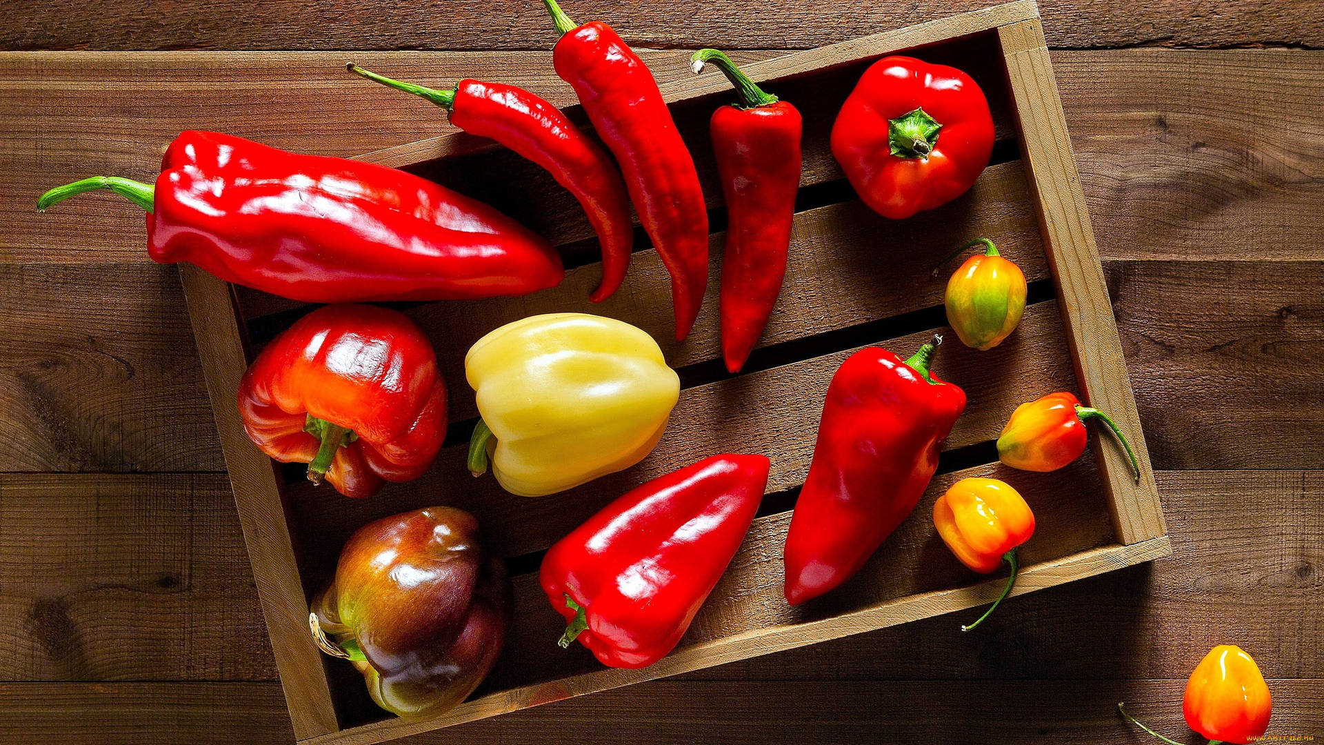 Pepper 桌布