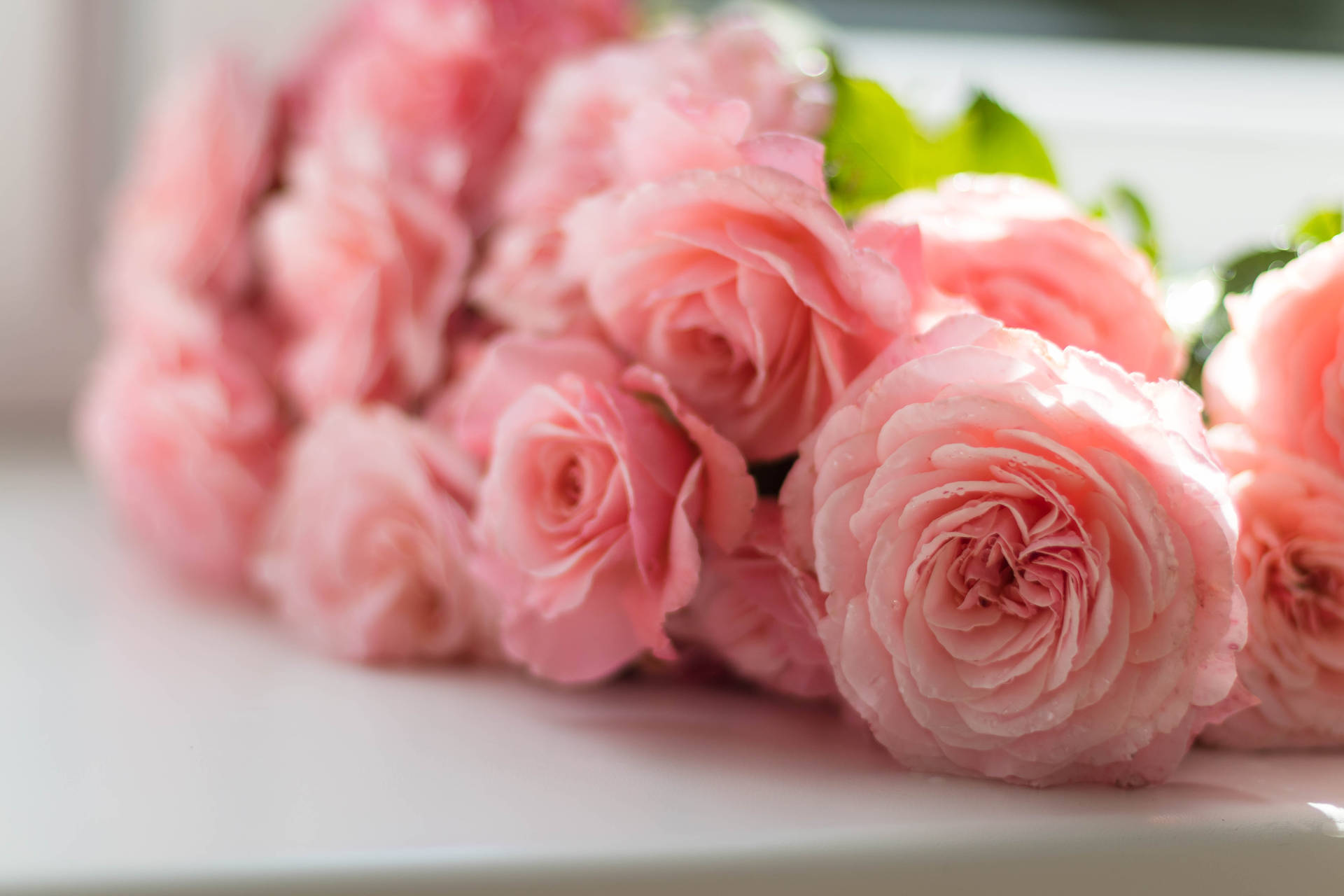 Pink Flowers Aesthetic 桌布