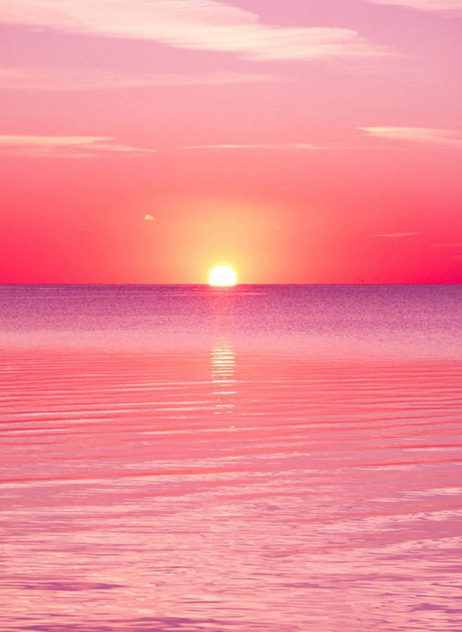 Pink Sunset iPhone 桌布