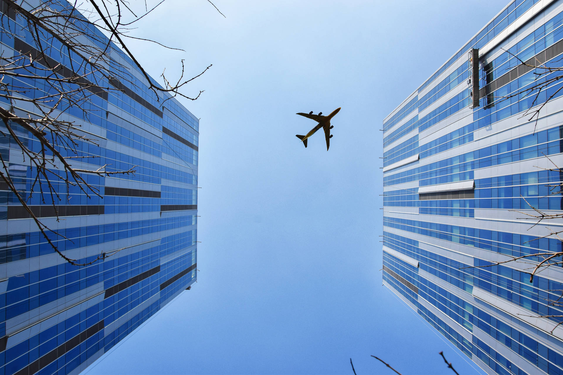 Plane 桌布