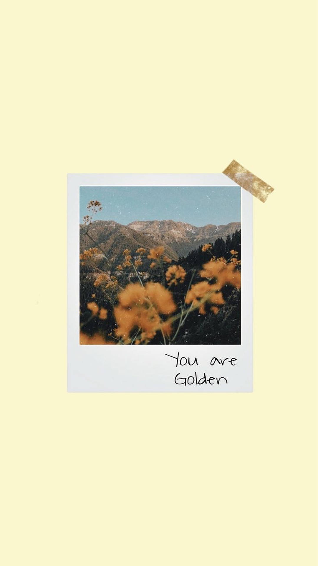 Polaroid 桌布