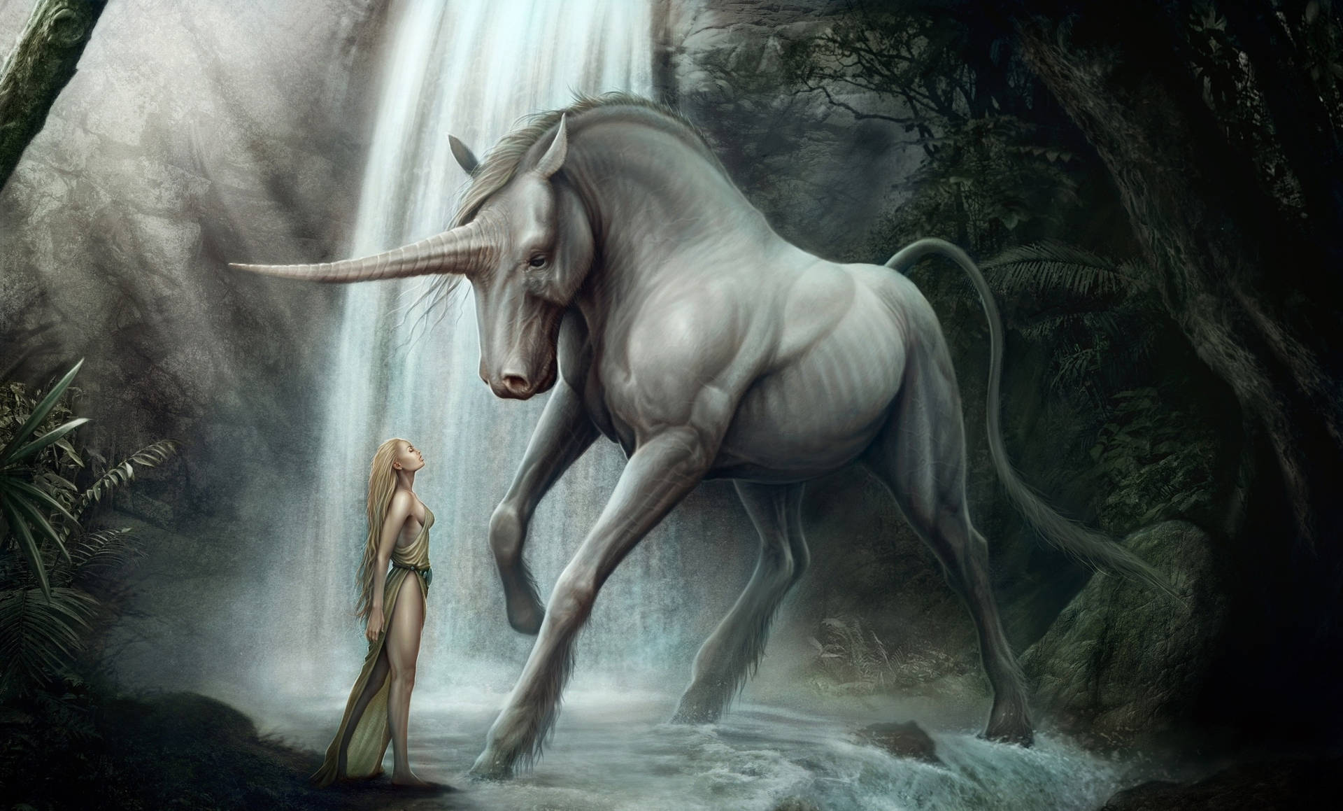 Fantasy Unicorn Fantasy Animals HD Wallpaper | Background Image