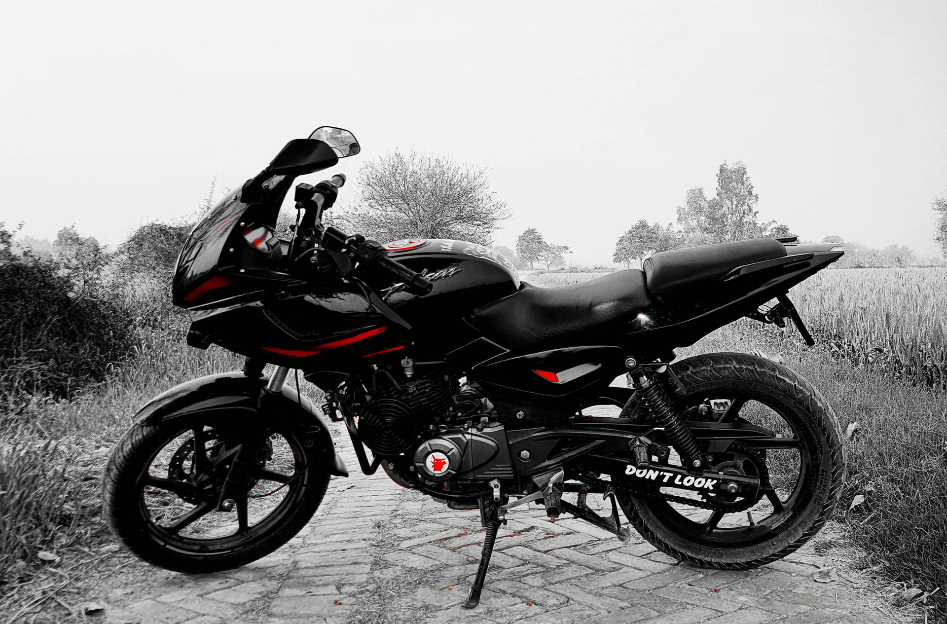 Pulsar 220 HD 桌布