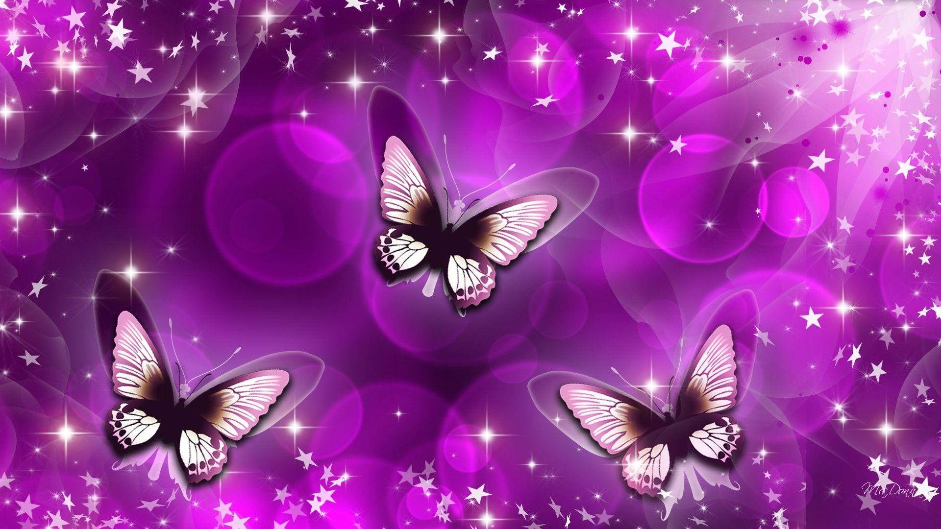 1920x1080 Purple Butterfly Wallpaper