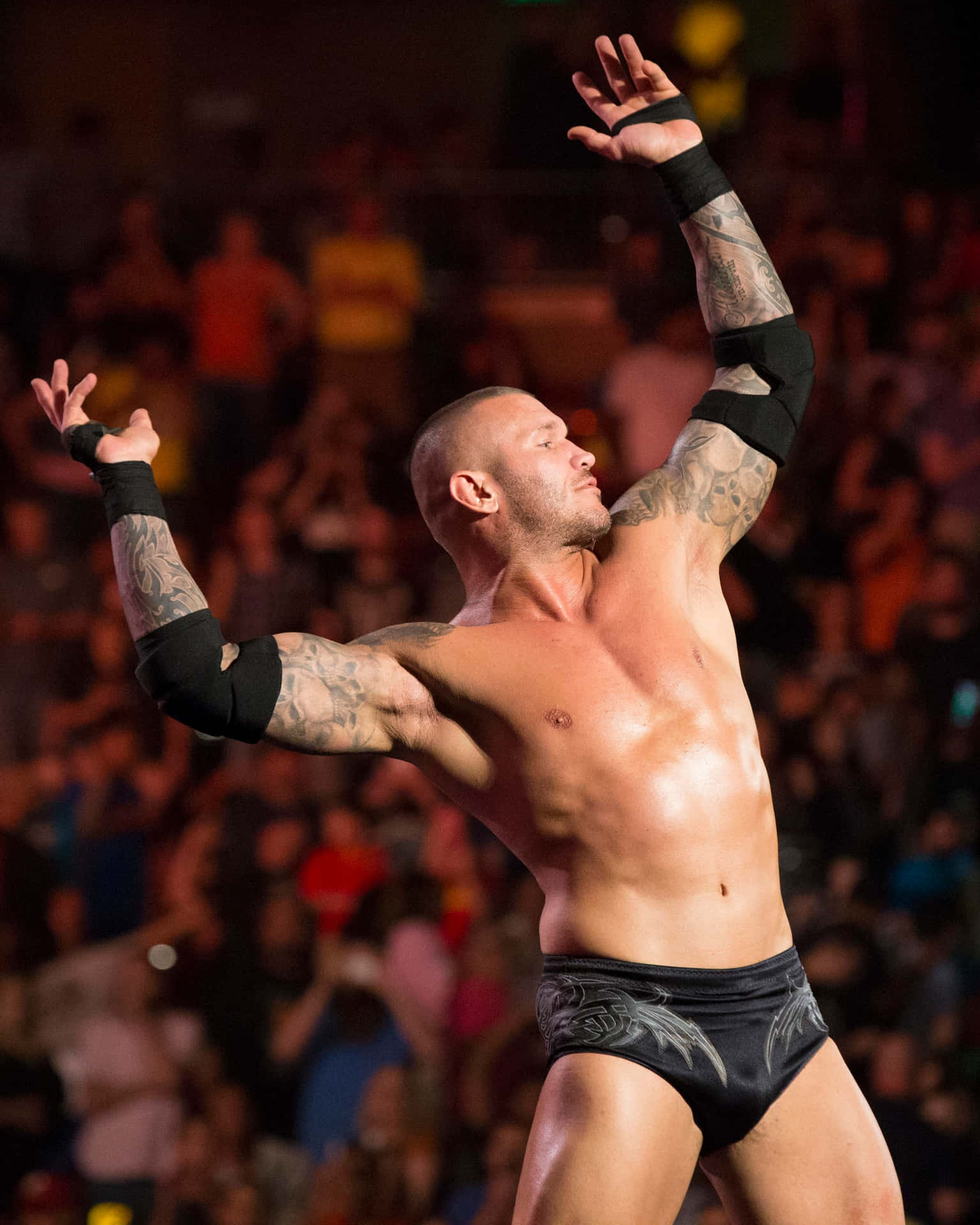 Randy orton 桌布