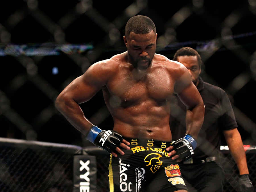 Rashad Evans 桌布
