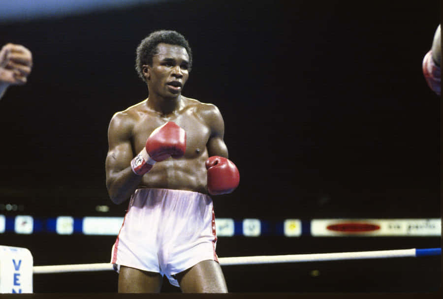 Ray Leonard 桌布
