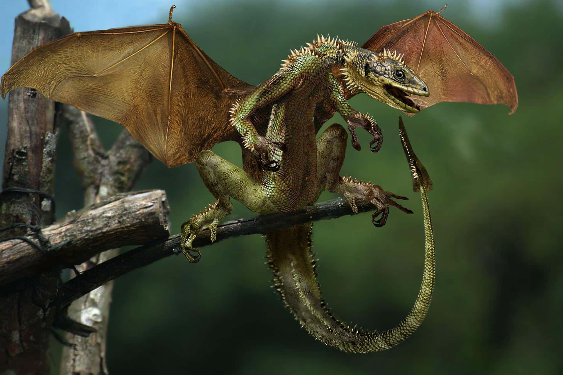 Real Dragon 桌布