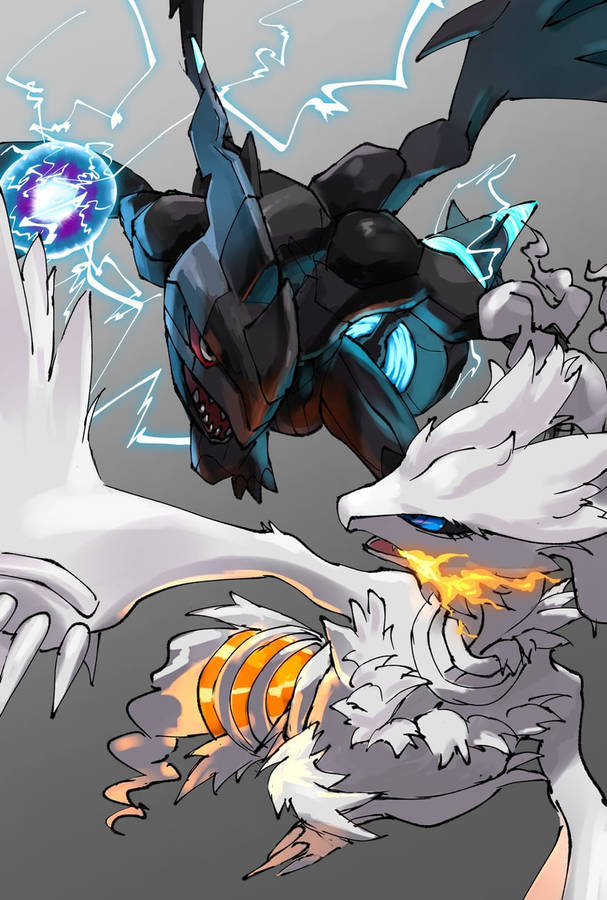 Reshiram 桌布