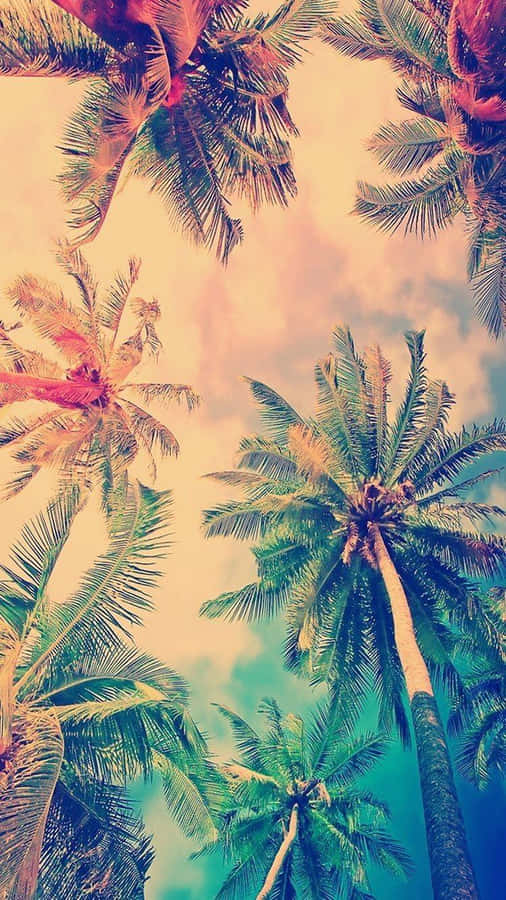 Retro Miami 桌布