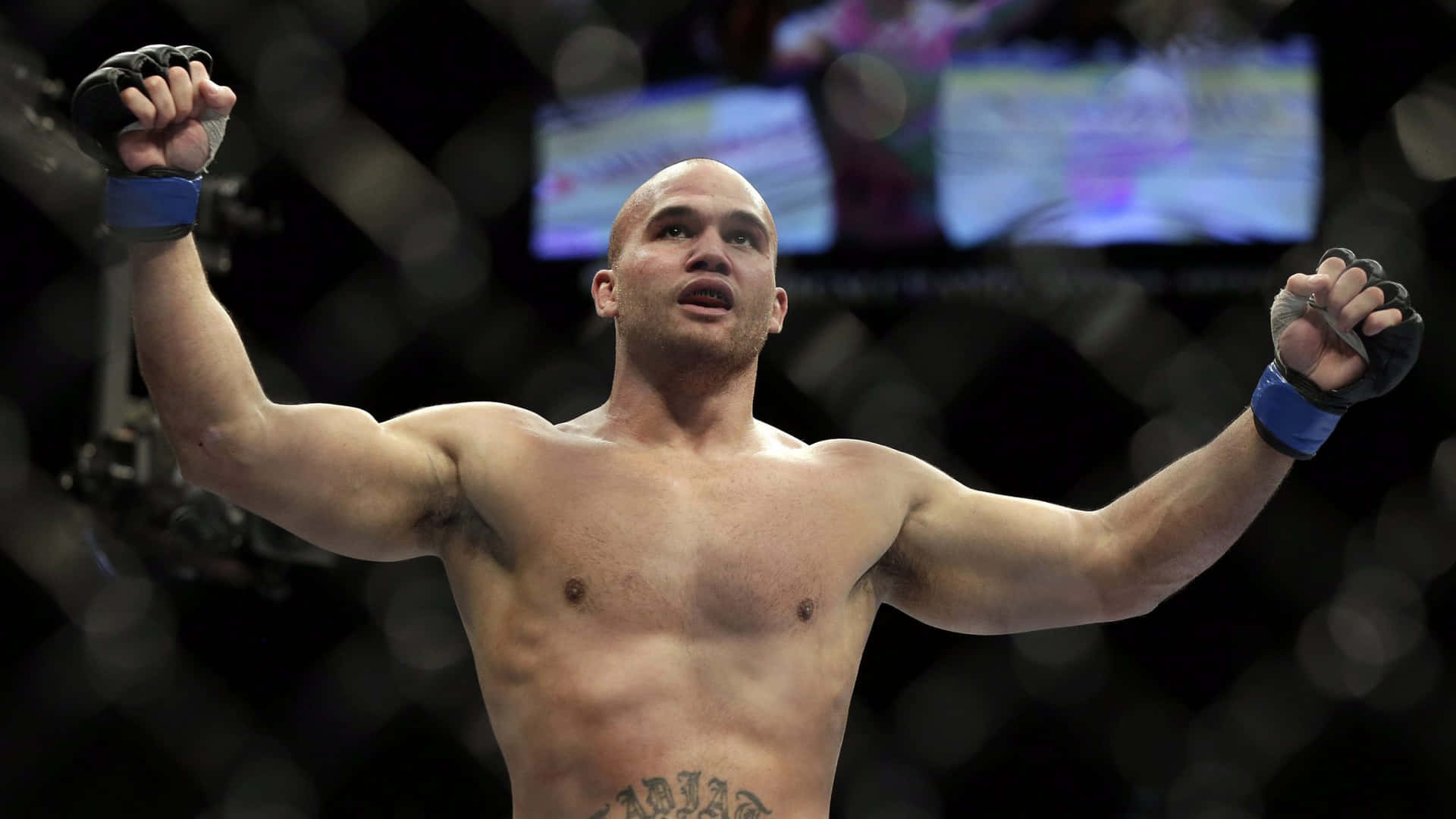 Robbie Lawler 桌布