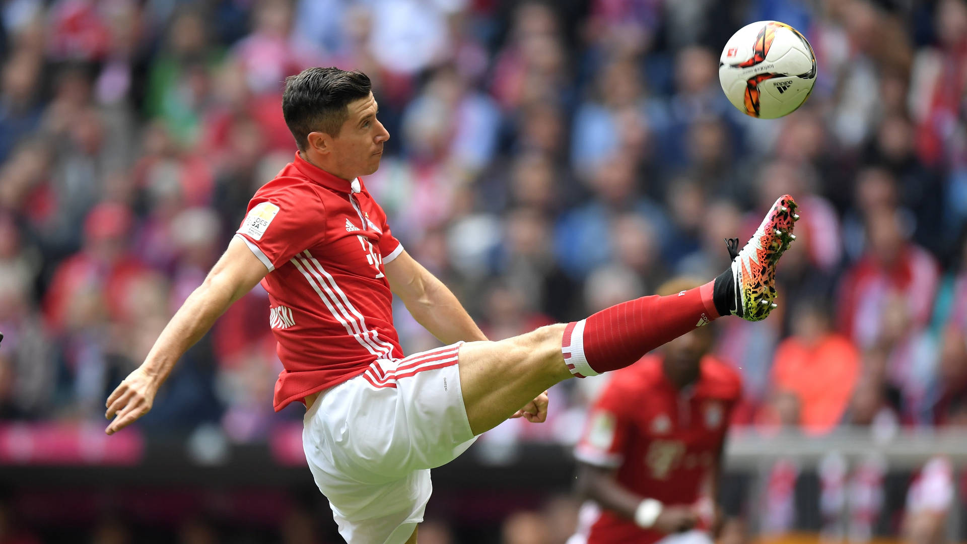 Robert Lewandowski 桌布